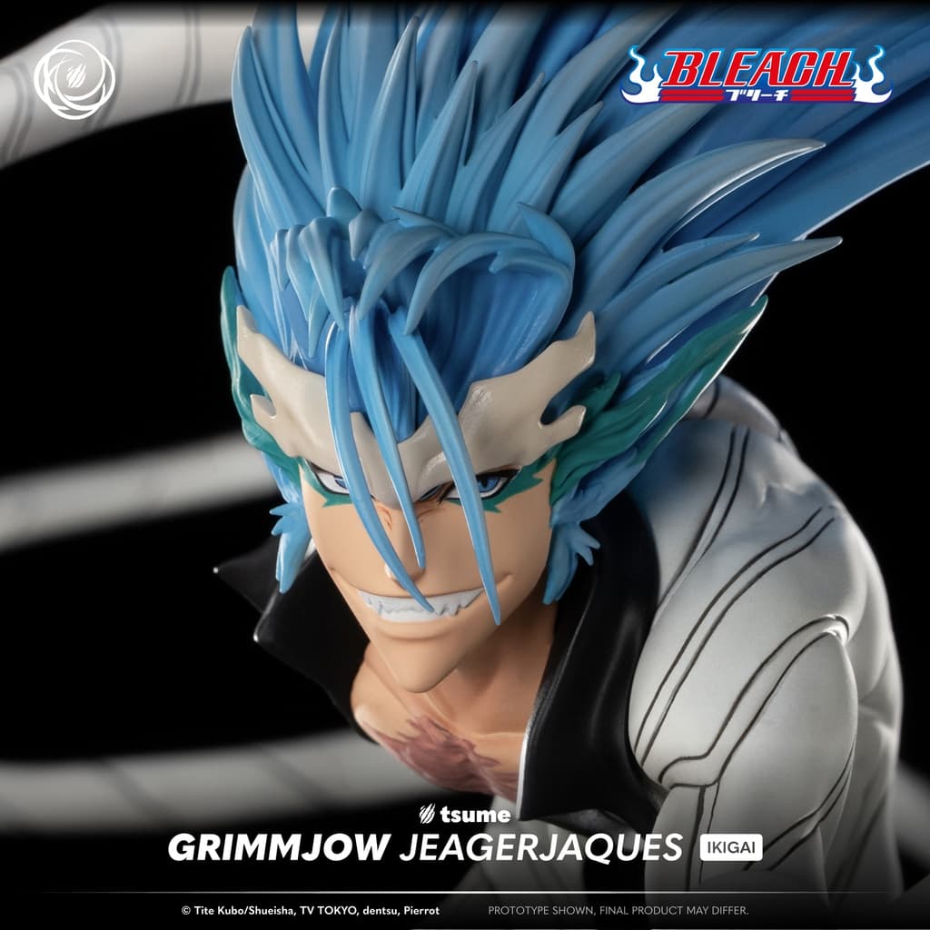 grimmjow jeagerjaques - ikigai - Vue 6