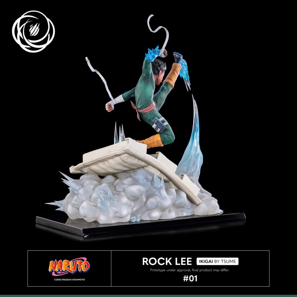 Rock Lee - Ikigai - Vue 5