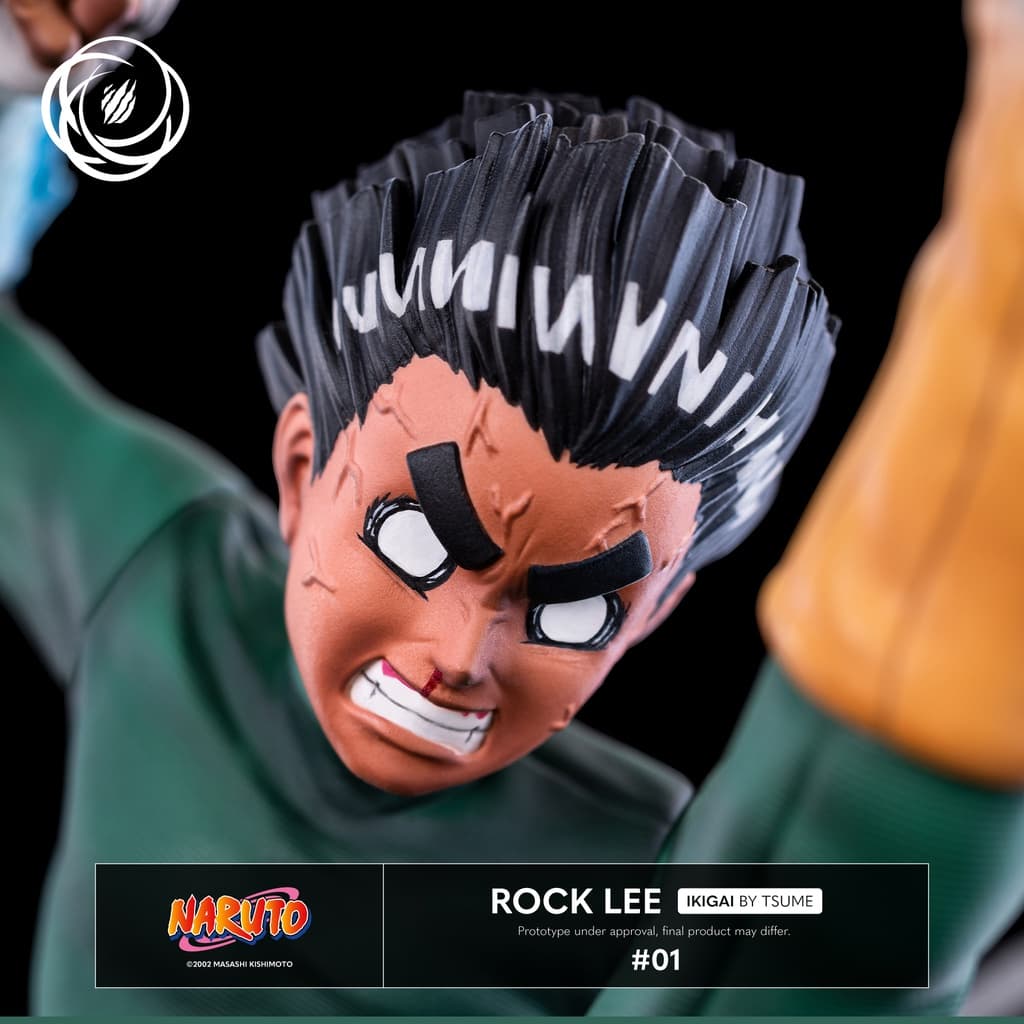 Rock Lee - Ikigai - Vue 10