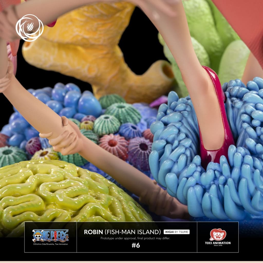 Robin (Fish-man Island) Regular - Ikigai - Vue 10