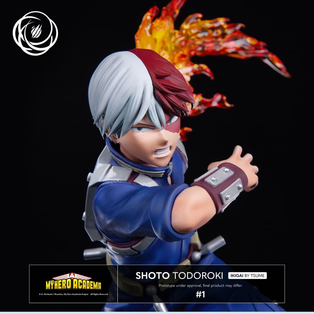 shoto todoroki regular - ikigai