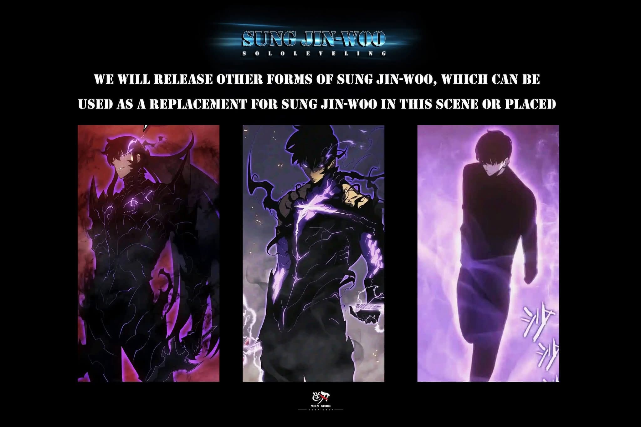 Sung Jin Woo - 1/6 - Vue 8