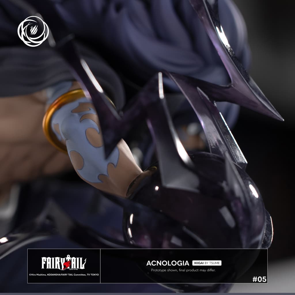 Acnologia - Ikigai - Vue 5