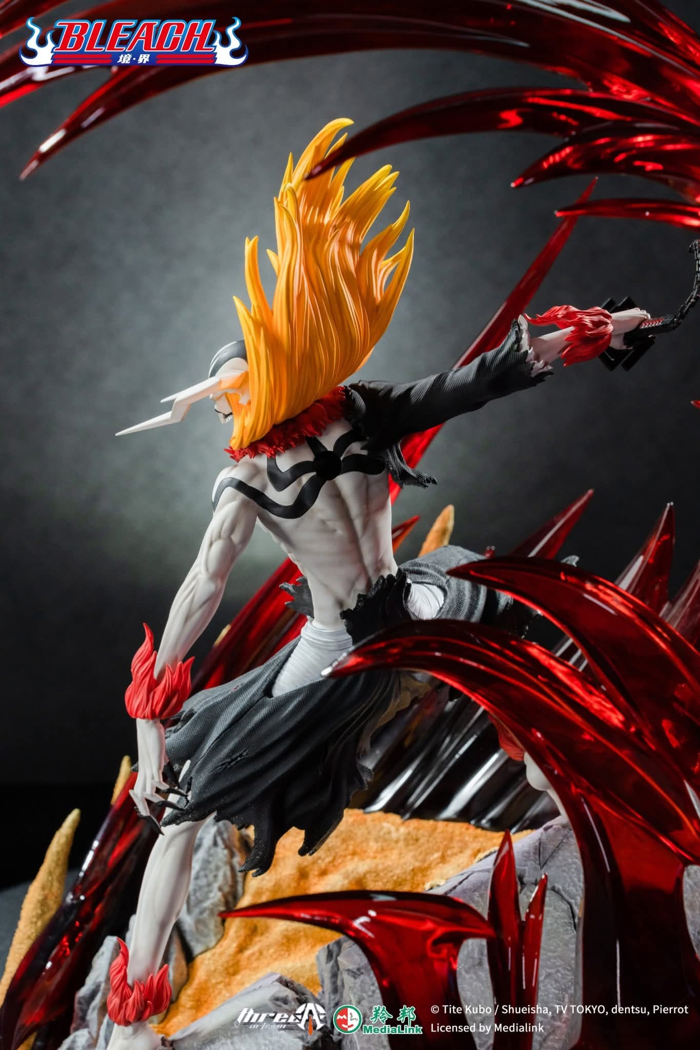 Kurosaki Ichigo - Vue 11