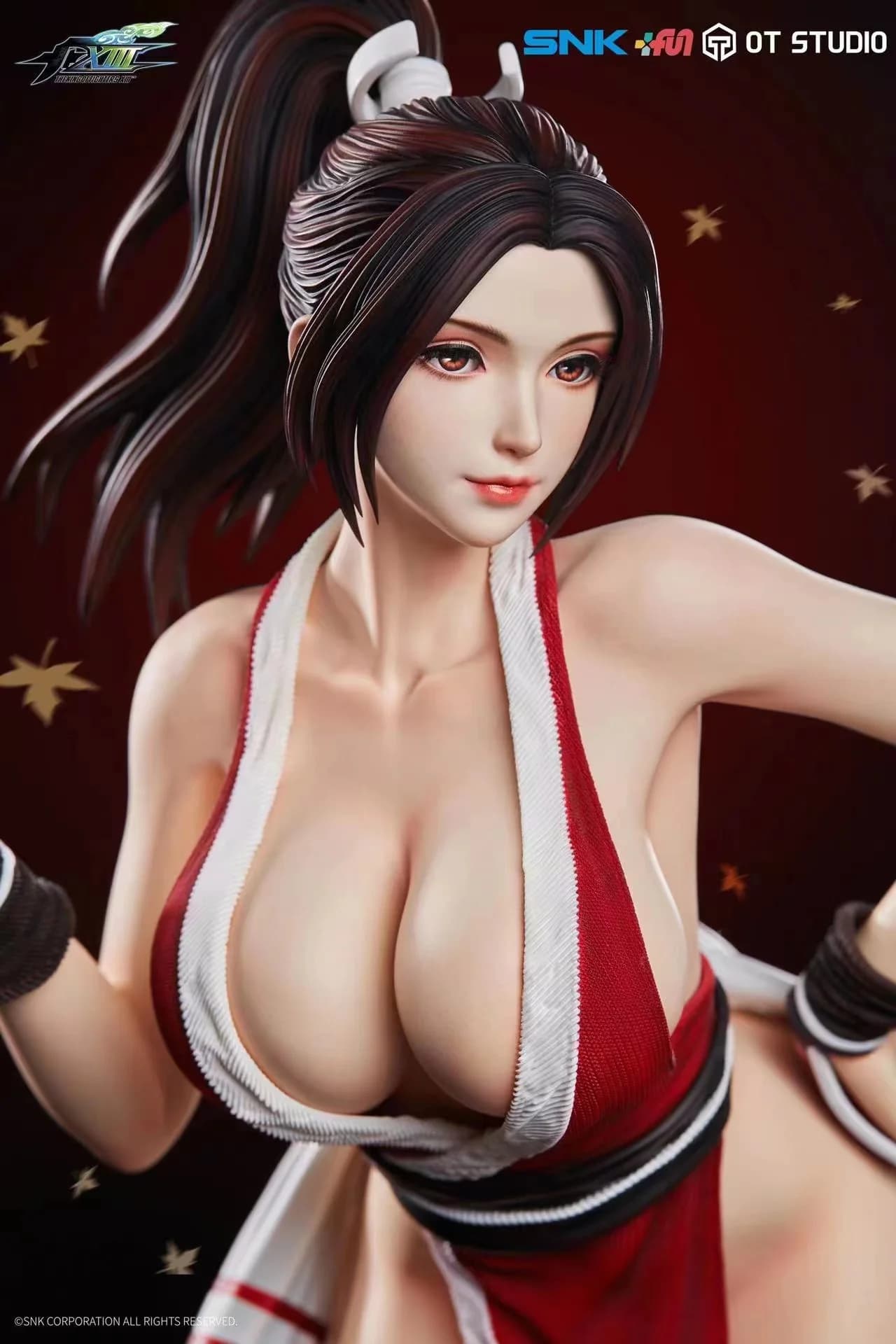 Mai Shiranui - Vue 4