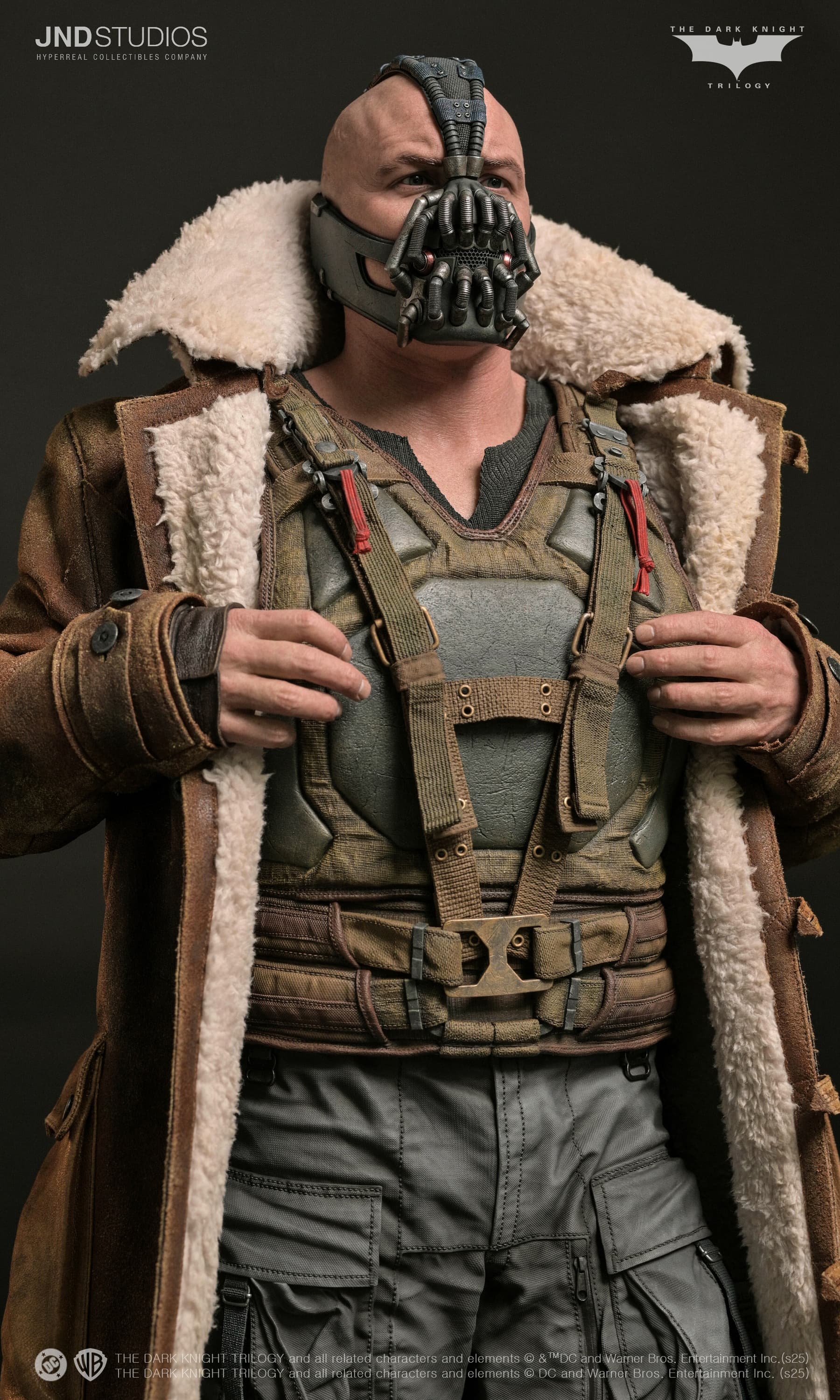 Bane - The Dark Knight (2012) - Vue 12