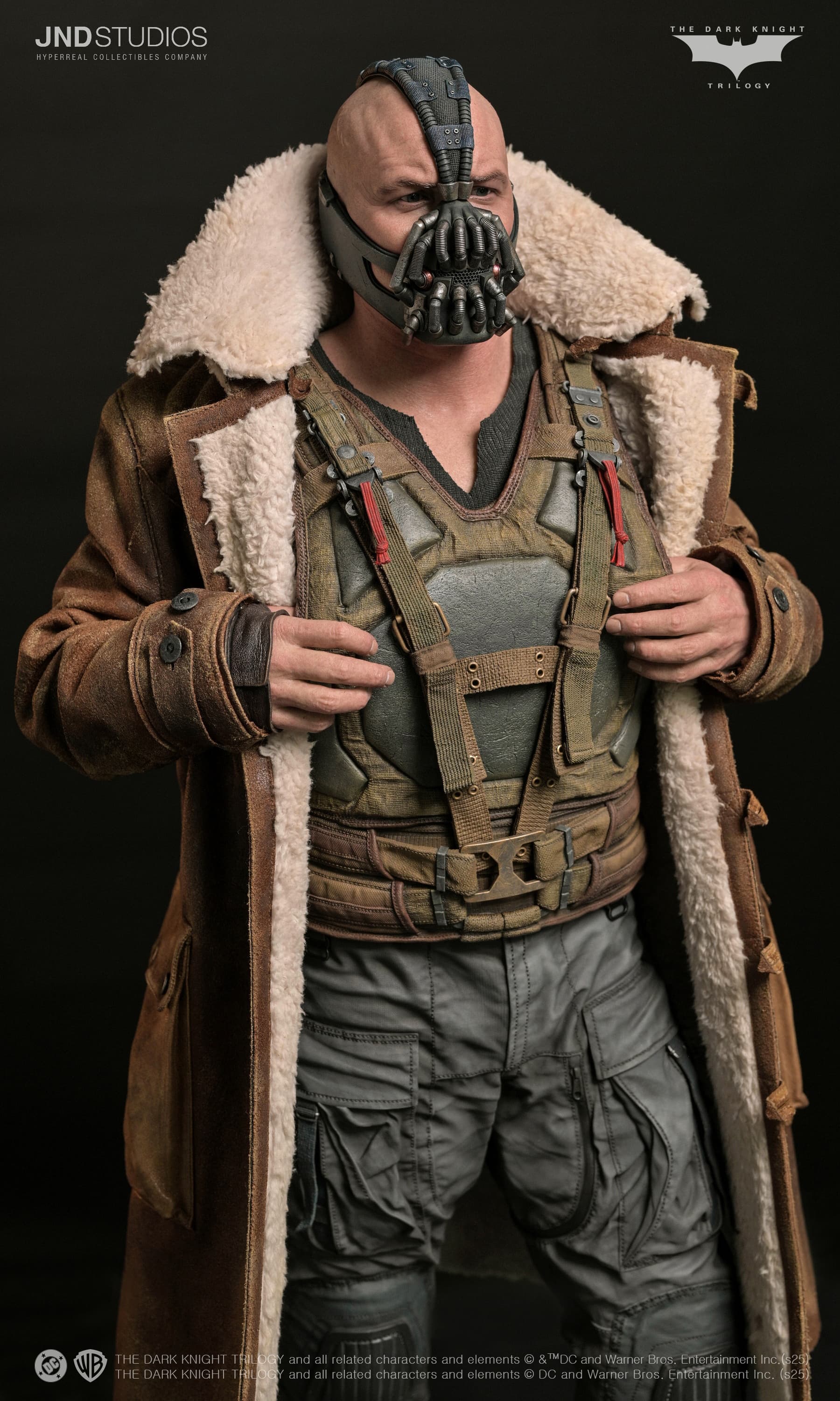 Bane - The Dark Knight (2012) - Vue 13