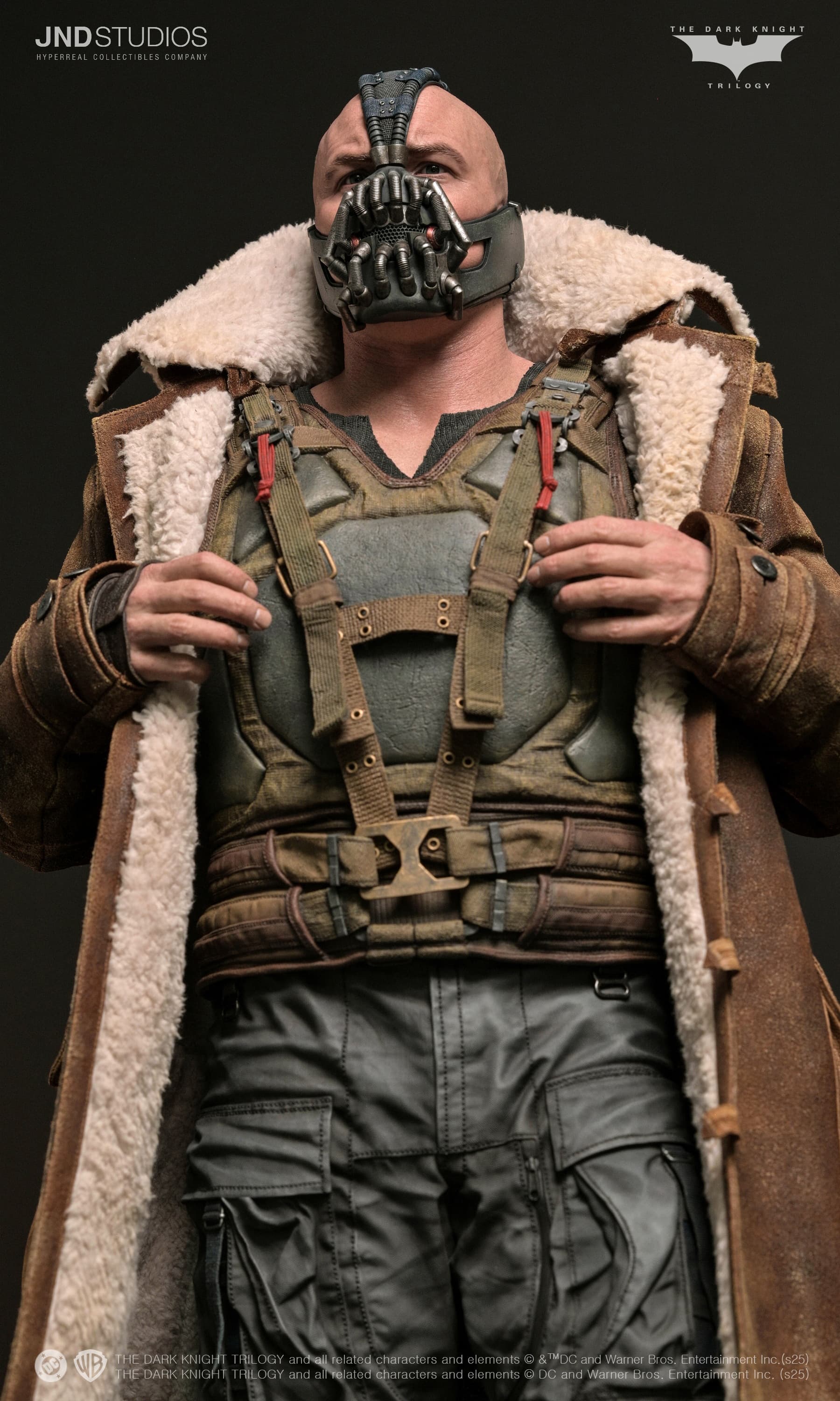 Bane - The Dark Knight (2012) - Vue 14