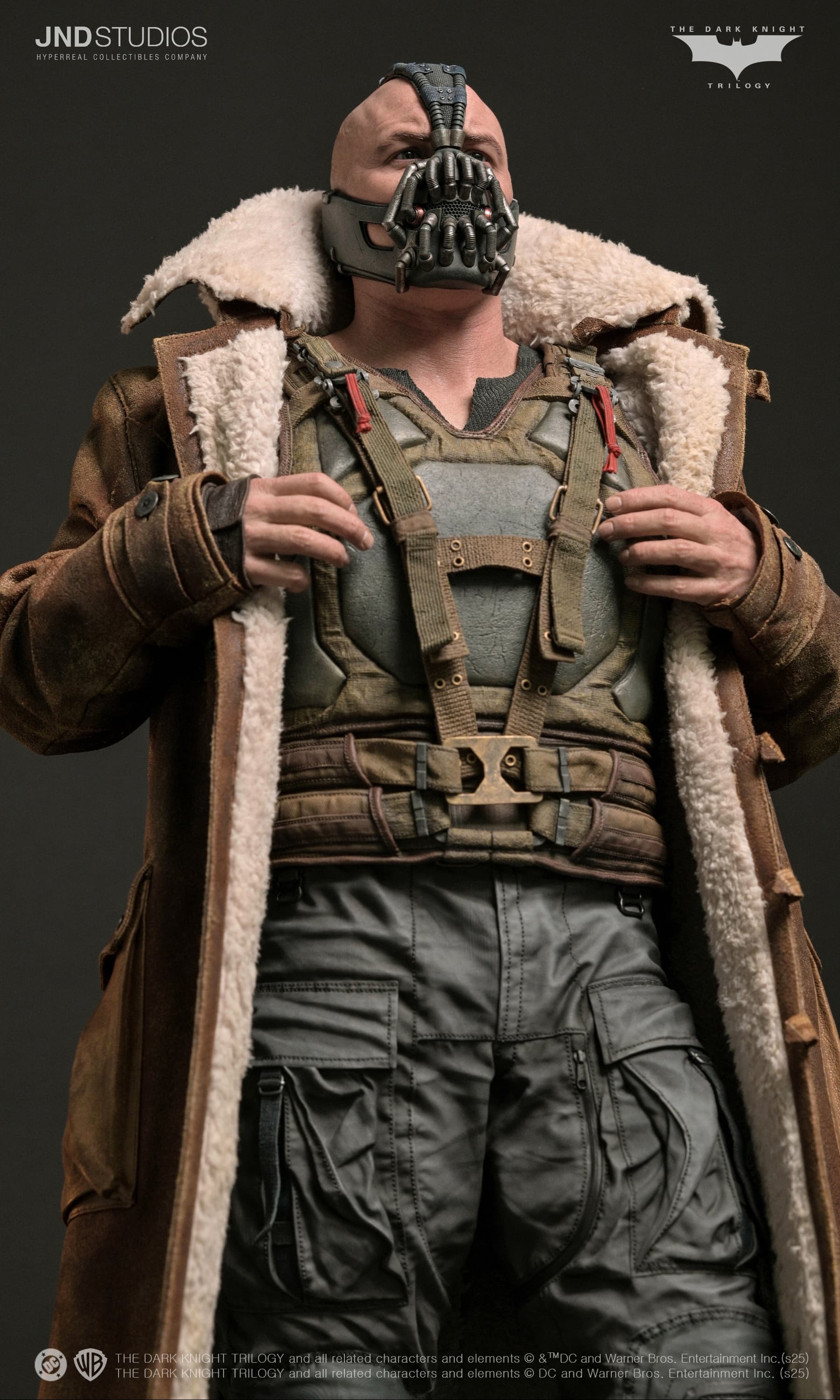 Bane - The Dark Knight (2012) - Vue 15