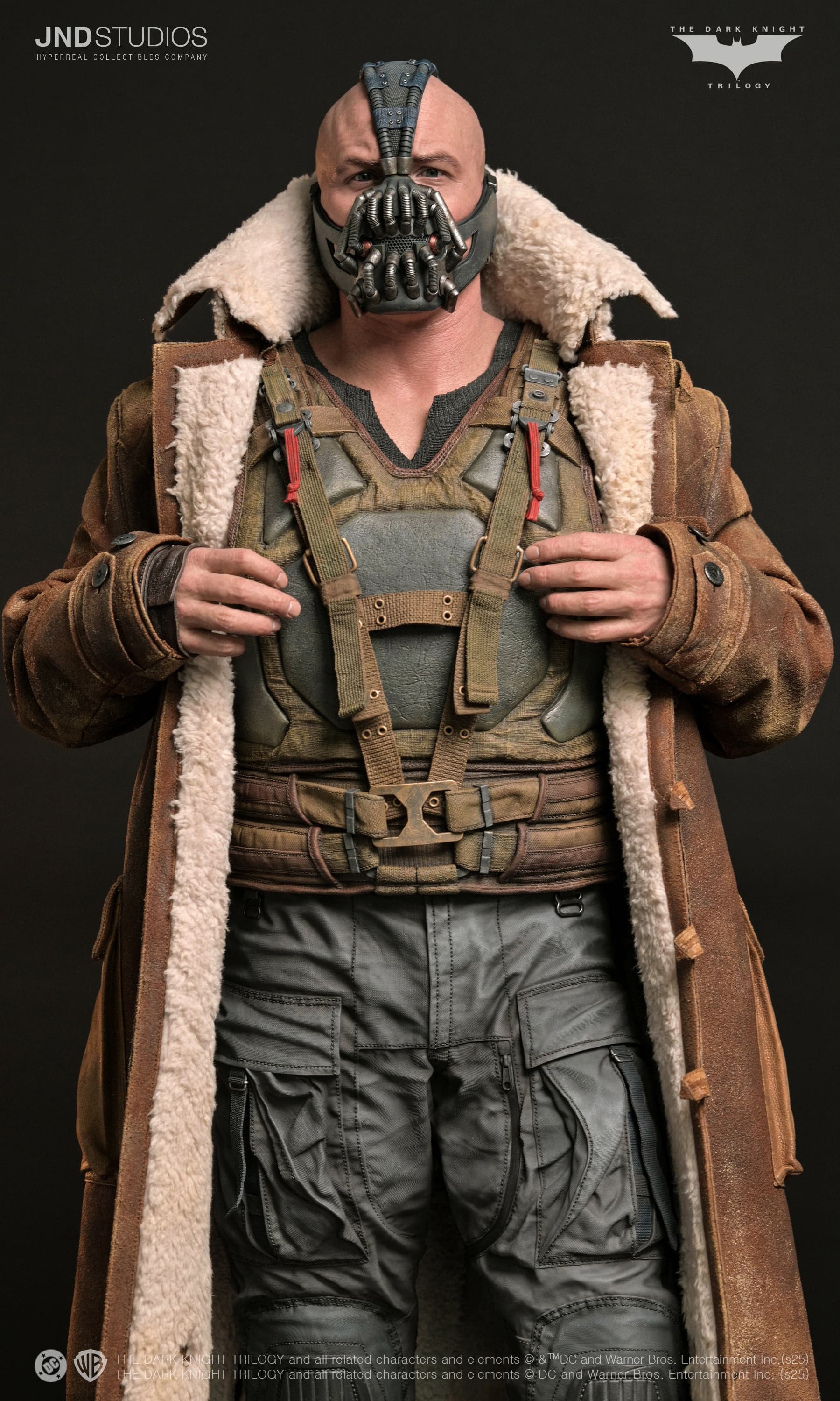 Bane - The Dark Knight (2012) - Vue 16