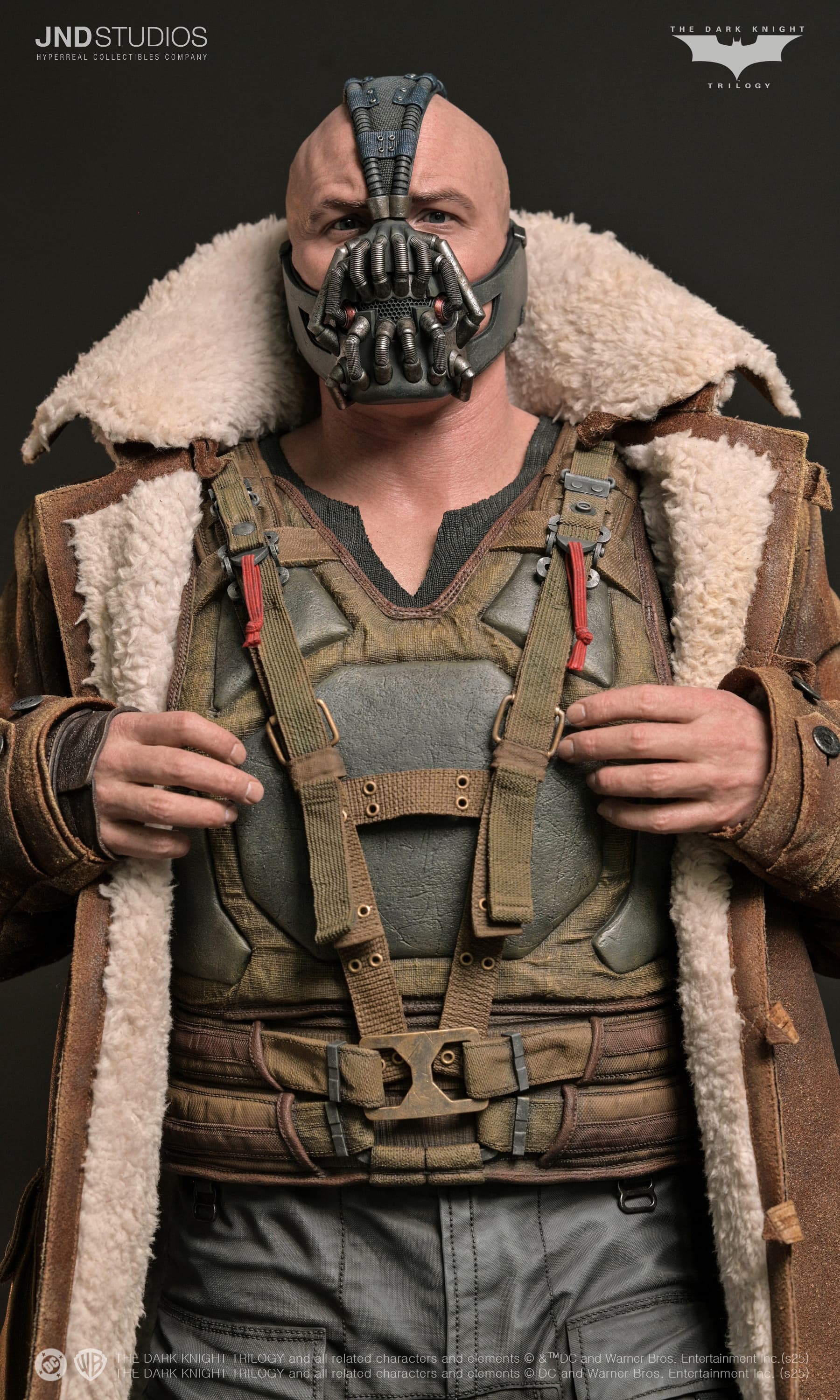 Bane - The Dark Knight (2012) - Vue 17