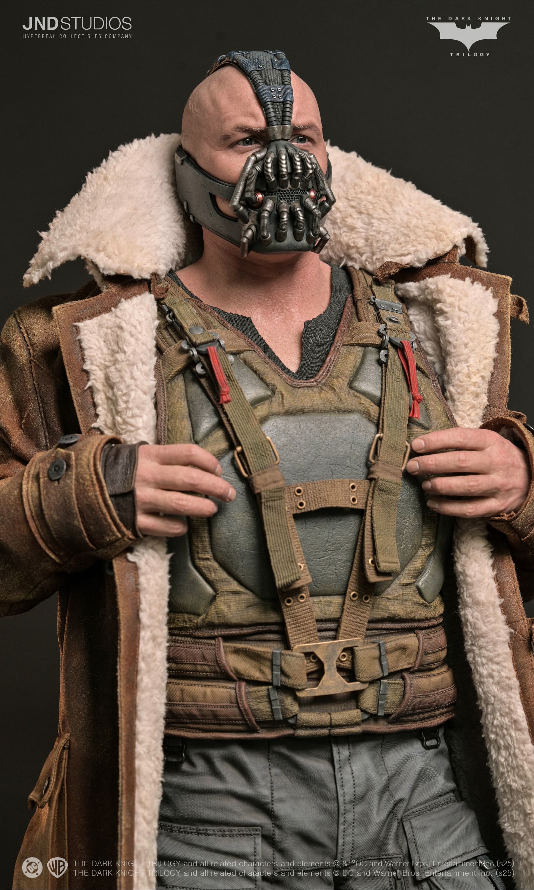 Bane - The Dark Knight (2012) - Vue 18