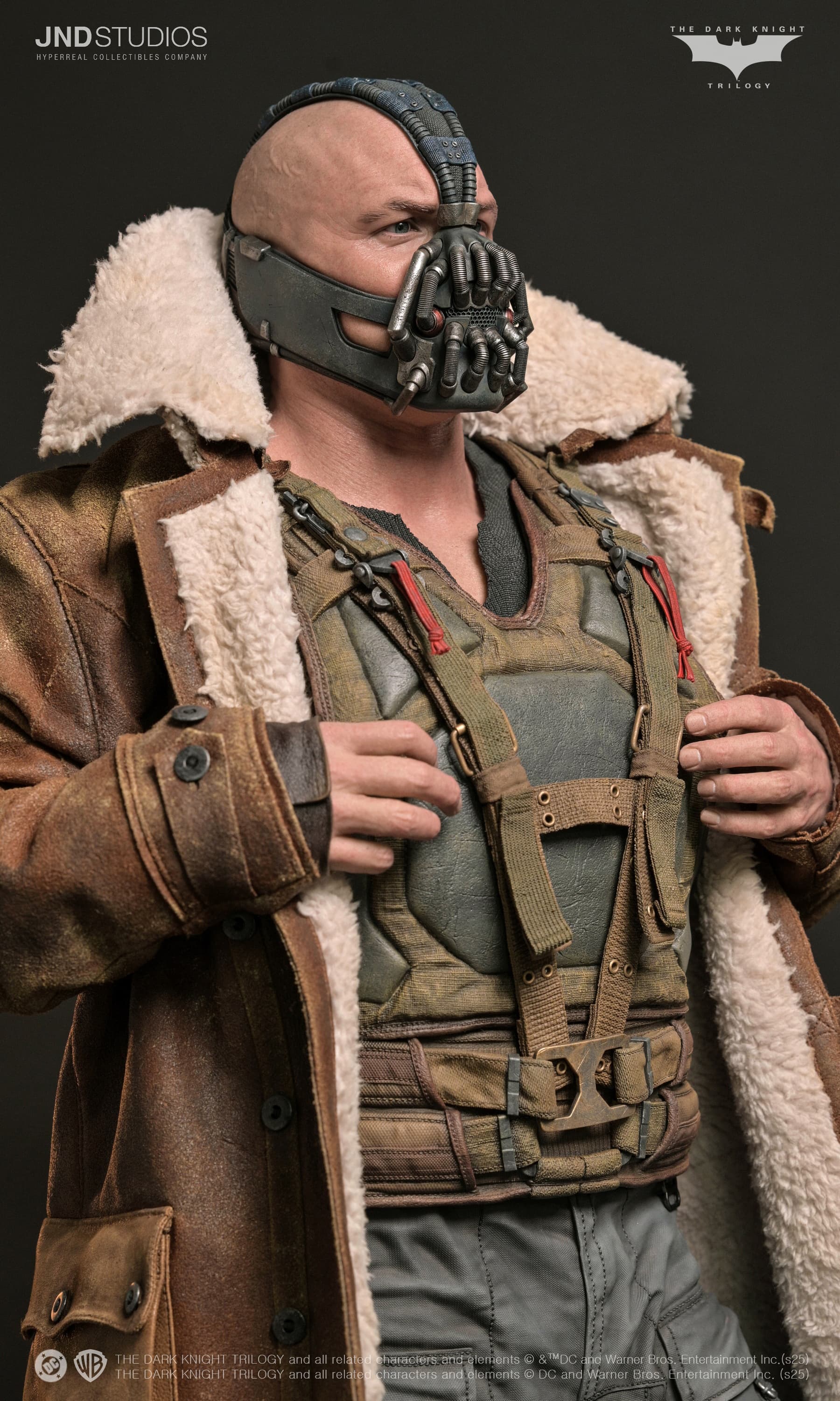 Bane - The Dark Knight (2012) - Vue 19