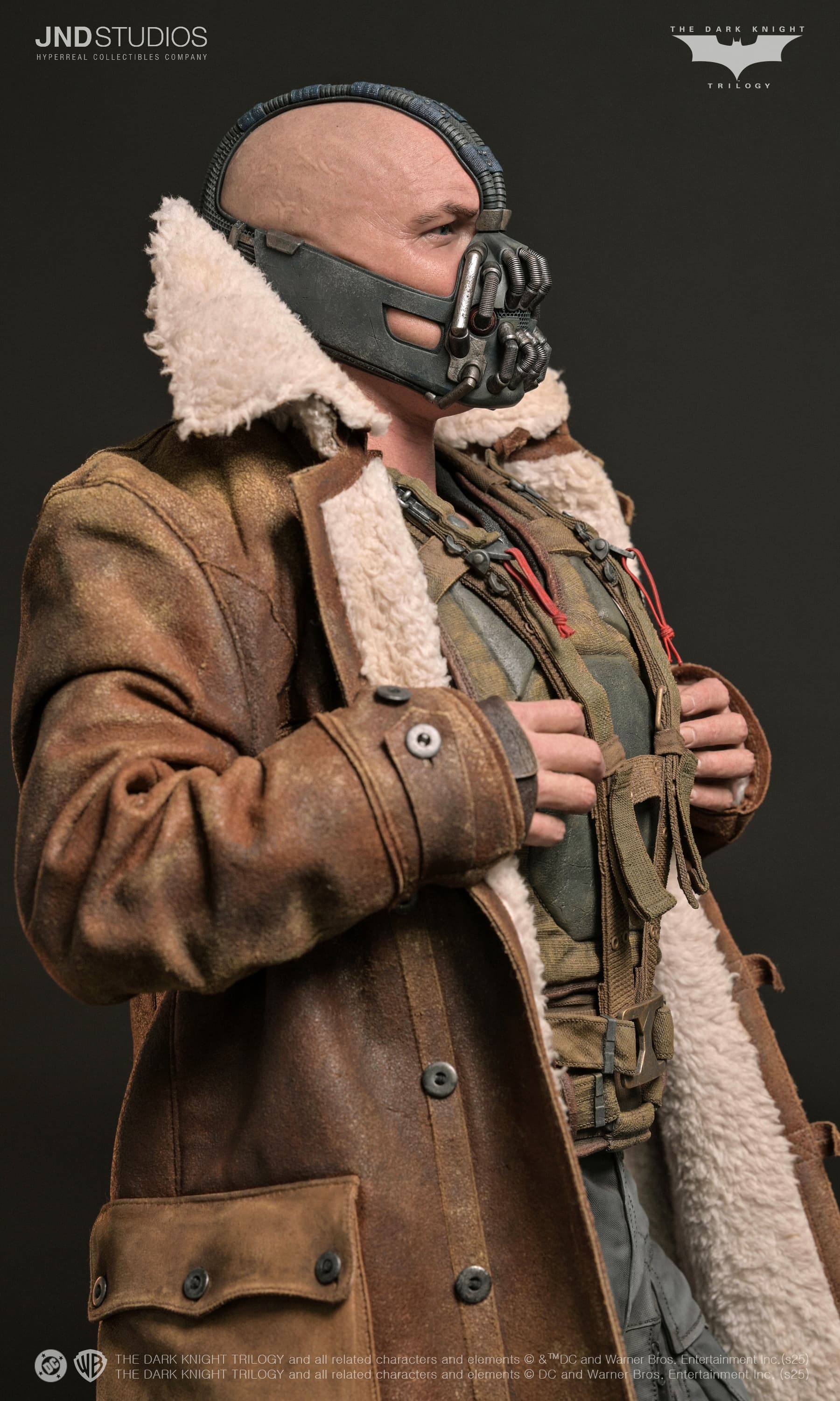 Bane - The Dark Knight (2012) - Vue 20