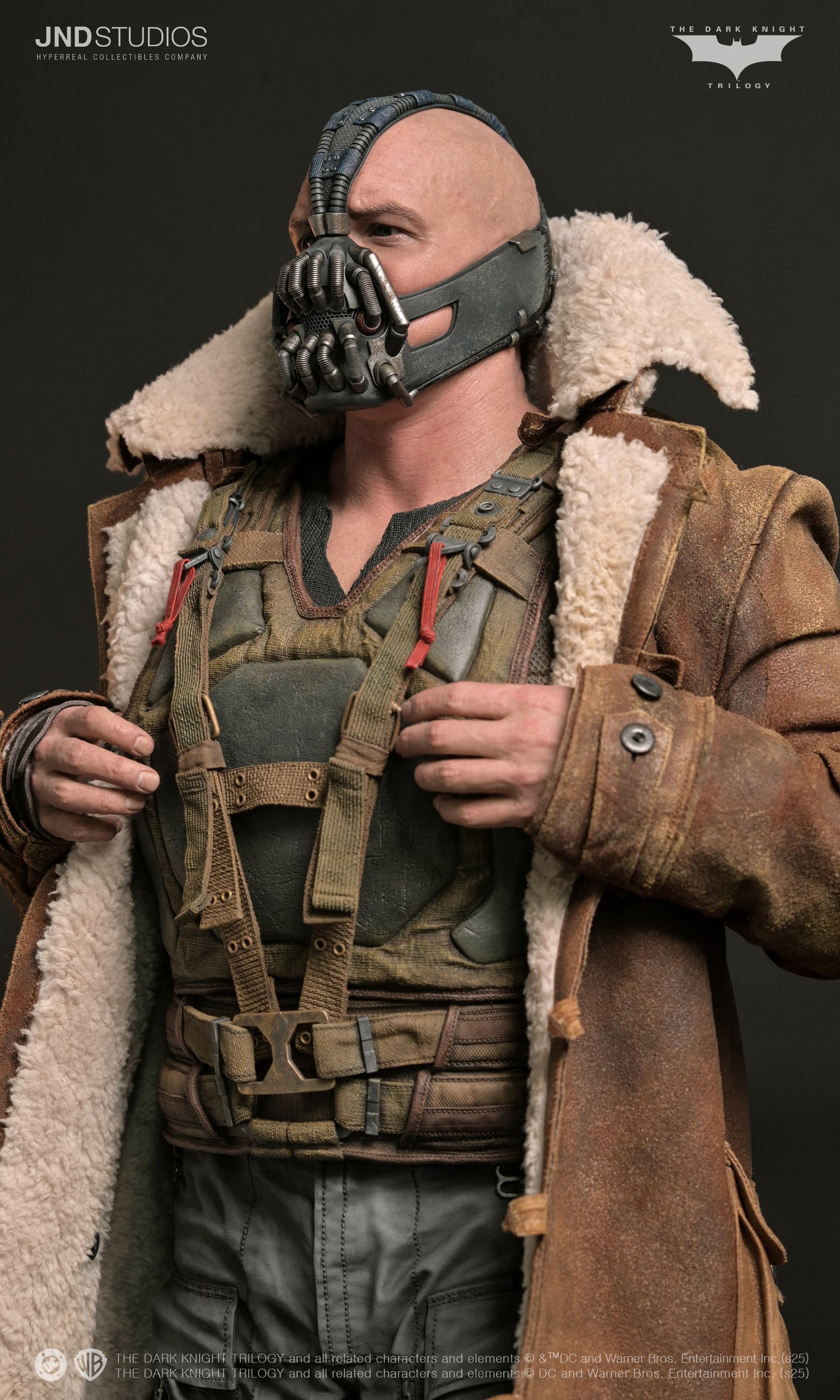Bane - The Dark Knight (2012) - Vue 21