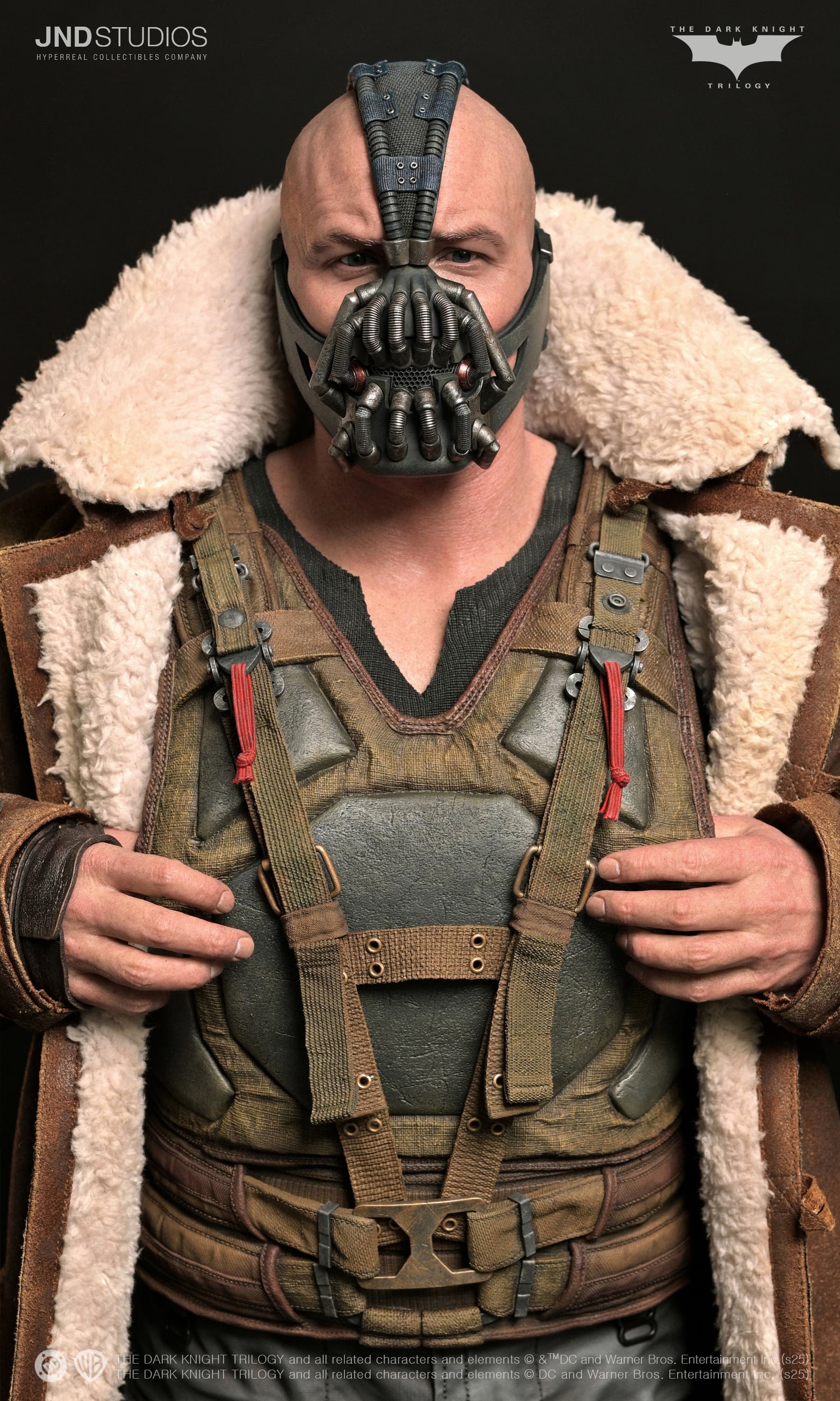 Bane - The Dark Knight (2012) - Vue 22