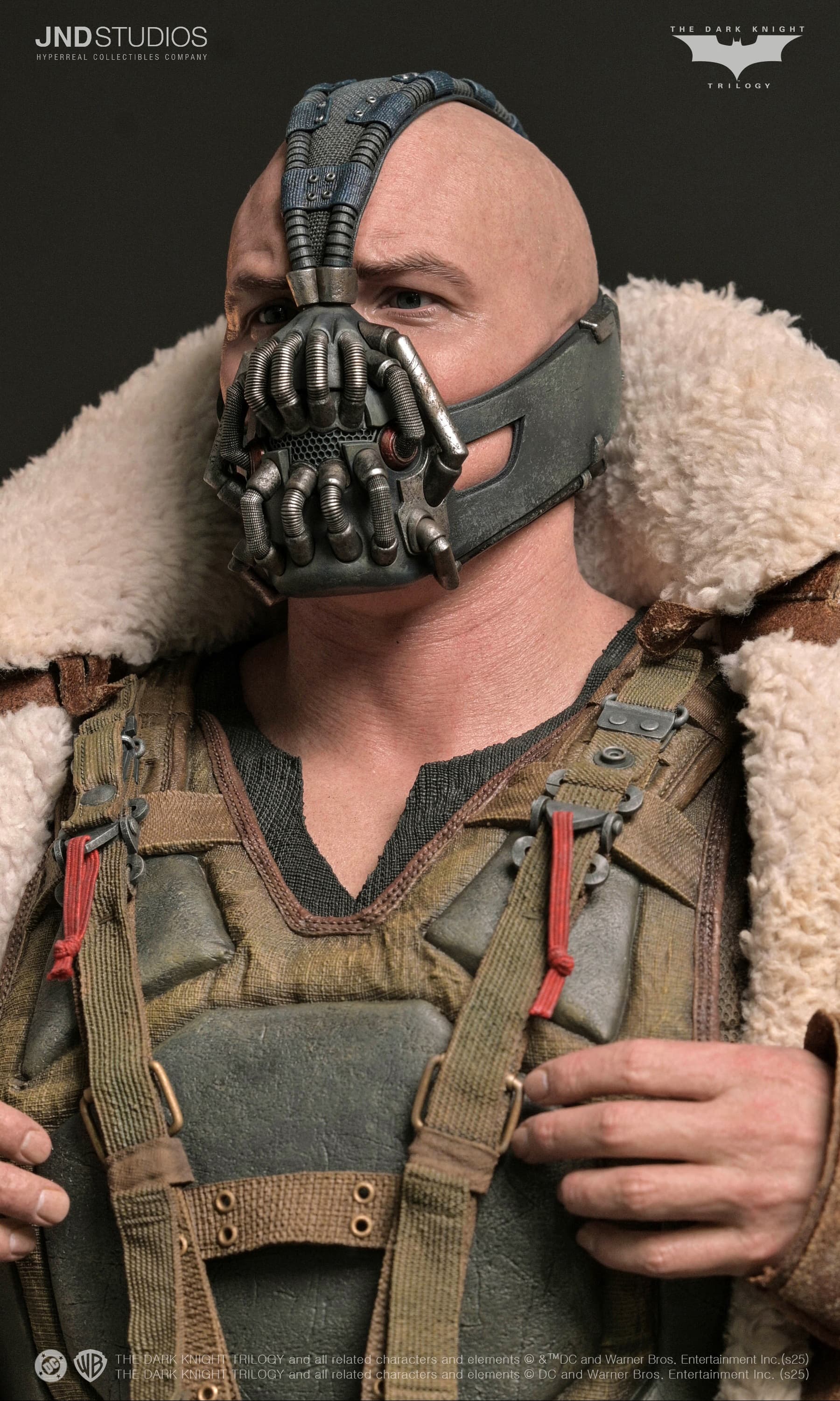 Bane - The Dark Knight (2012) - Vue 23