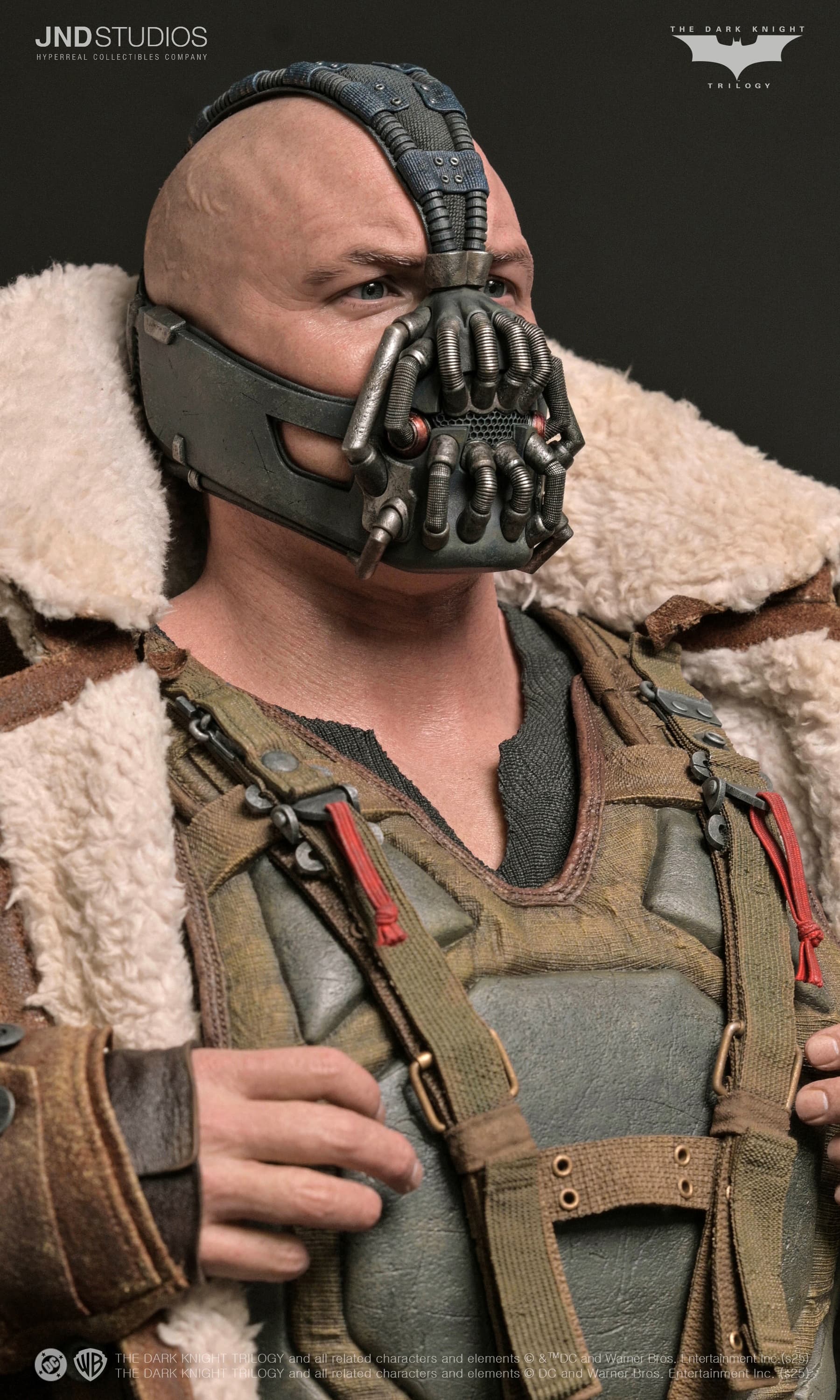 Bane - The Dark Knight (2012) - Vue 25