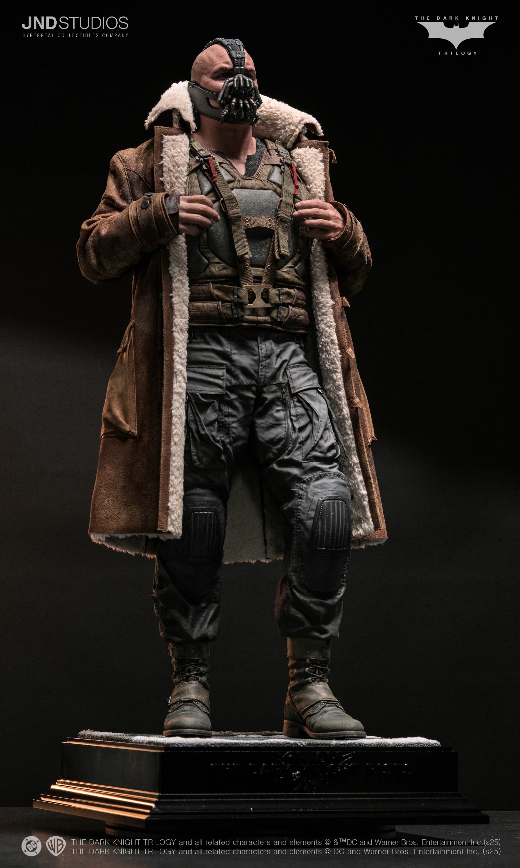 Bane - The Dark Knight (2012) - Vue 29