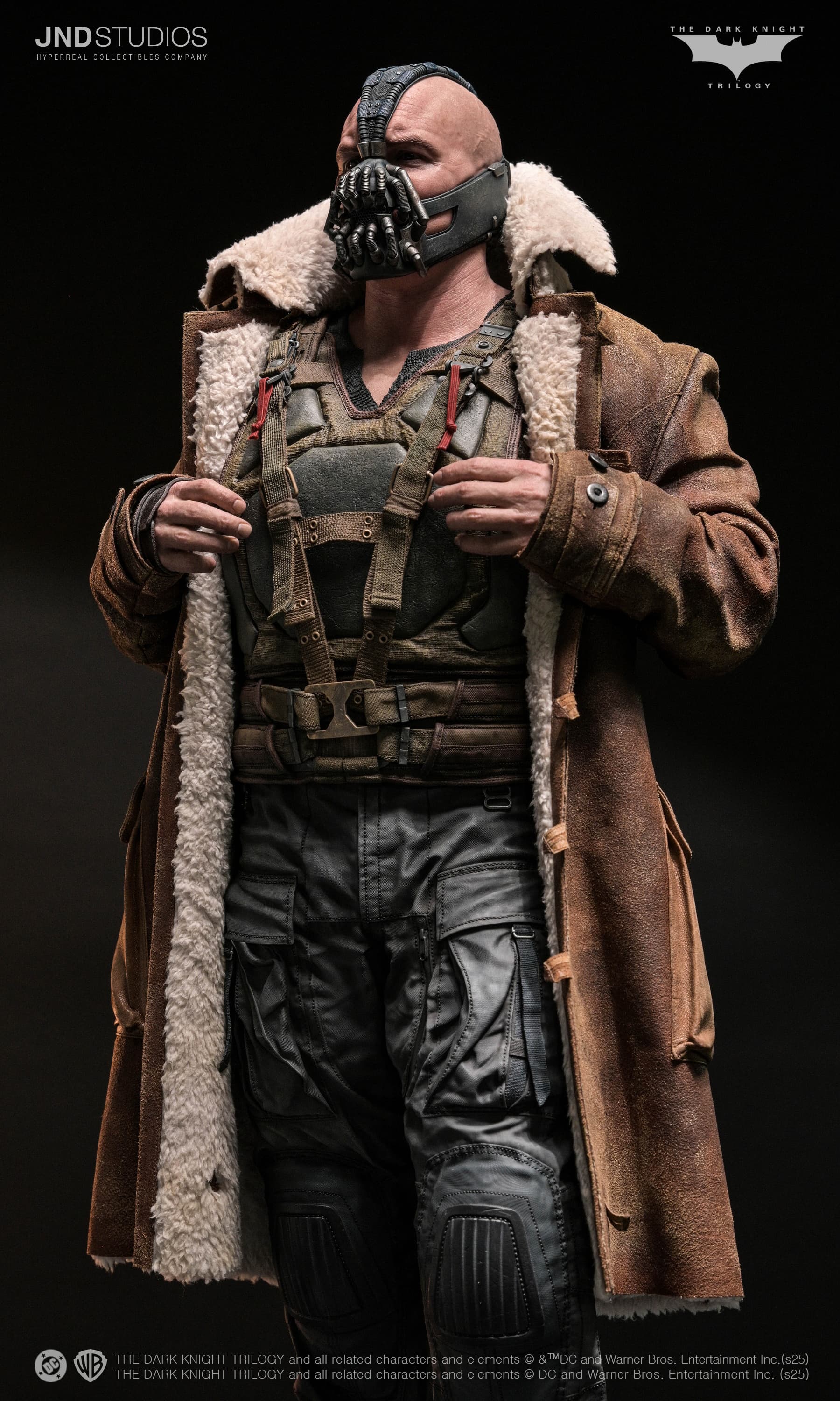 Bane - The Dark Knight (2012) - Vue 30