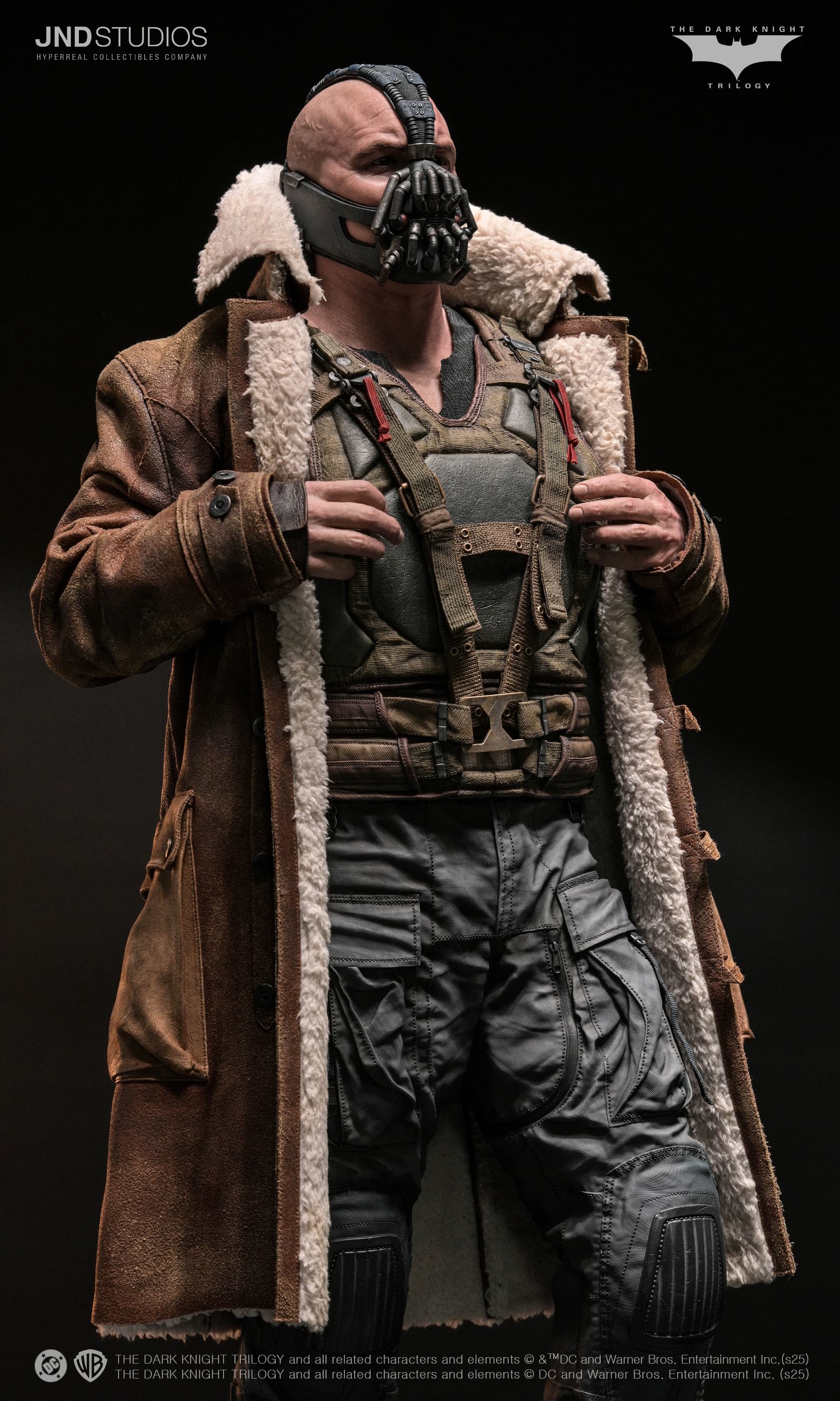 Bane - The Dark Knight (2012) - Vue 31