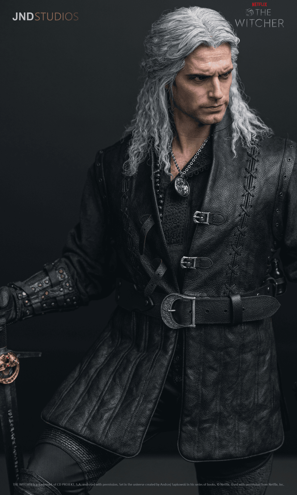 Geralt of Rivia (Netflix) - Vue 7