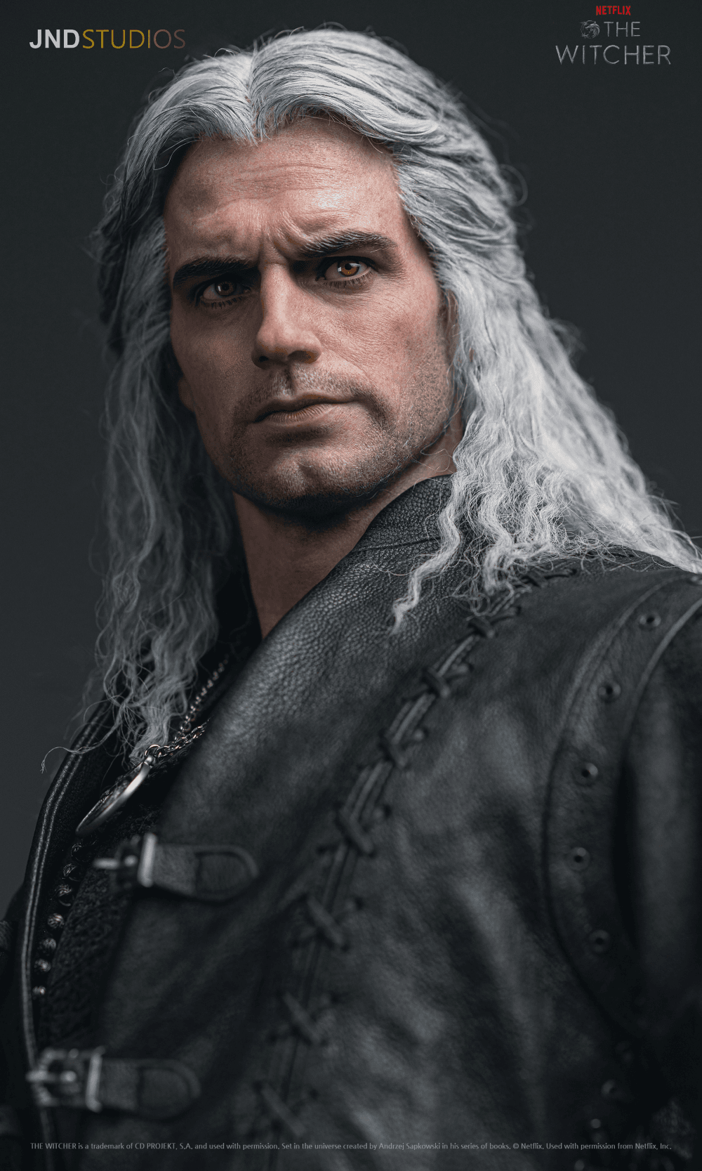 Geralt of Rivia (Netflix) - Vue 9