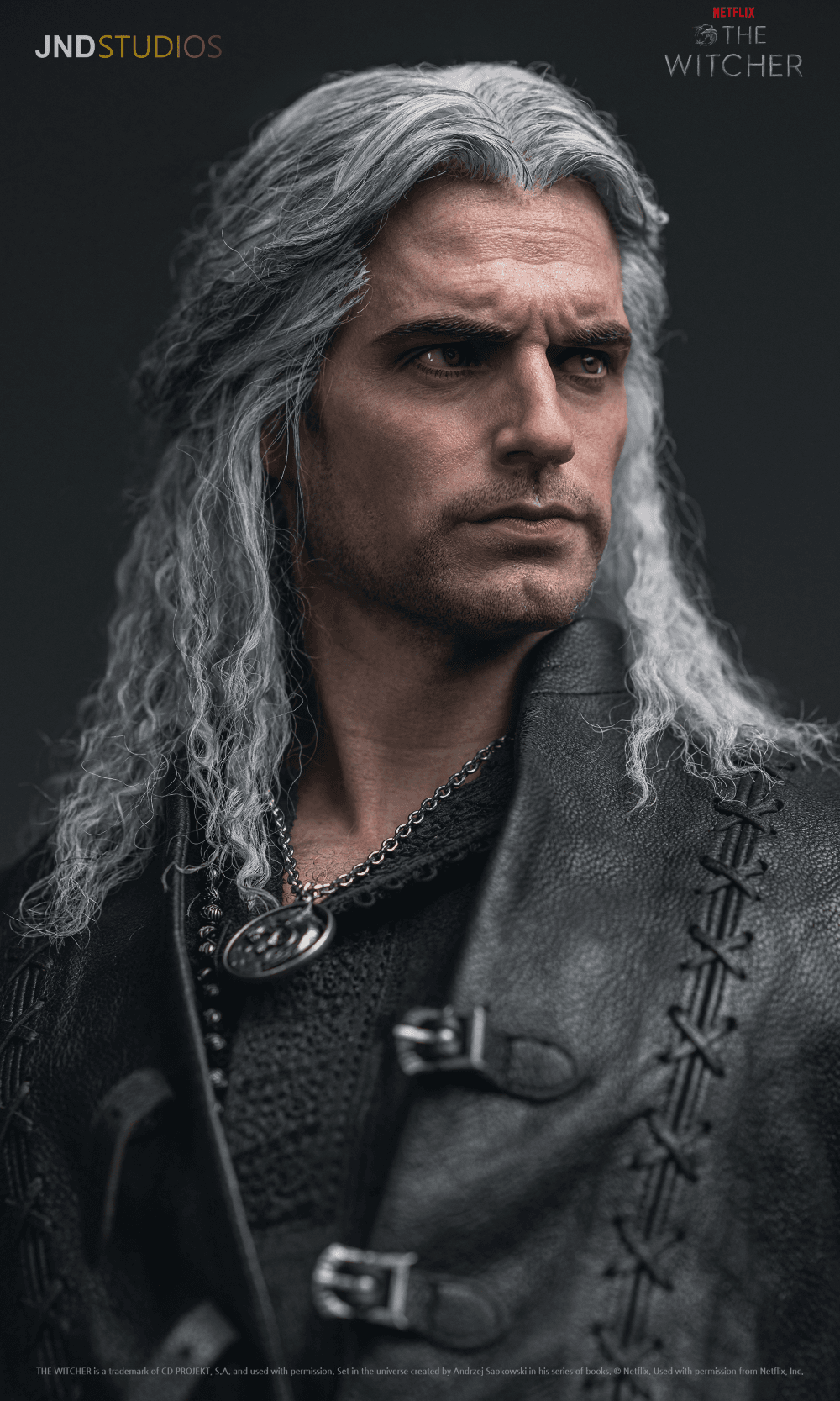 Geralt of Rivia (Netflix) - Vue 10