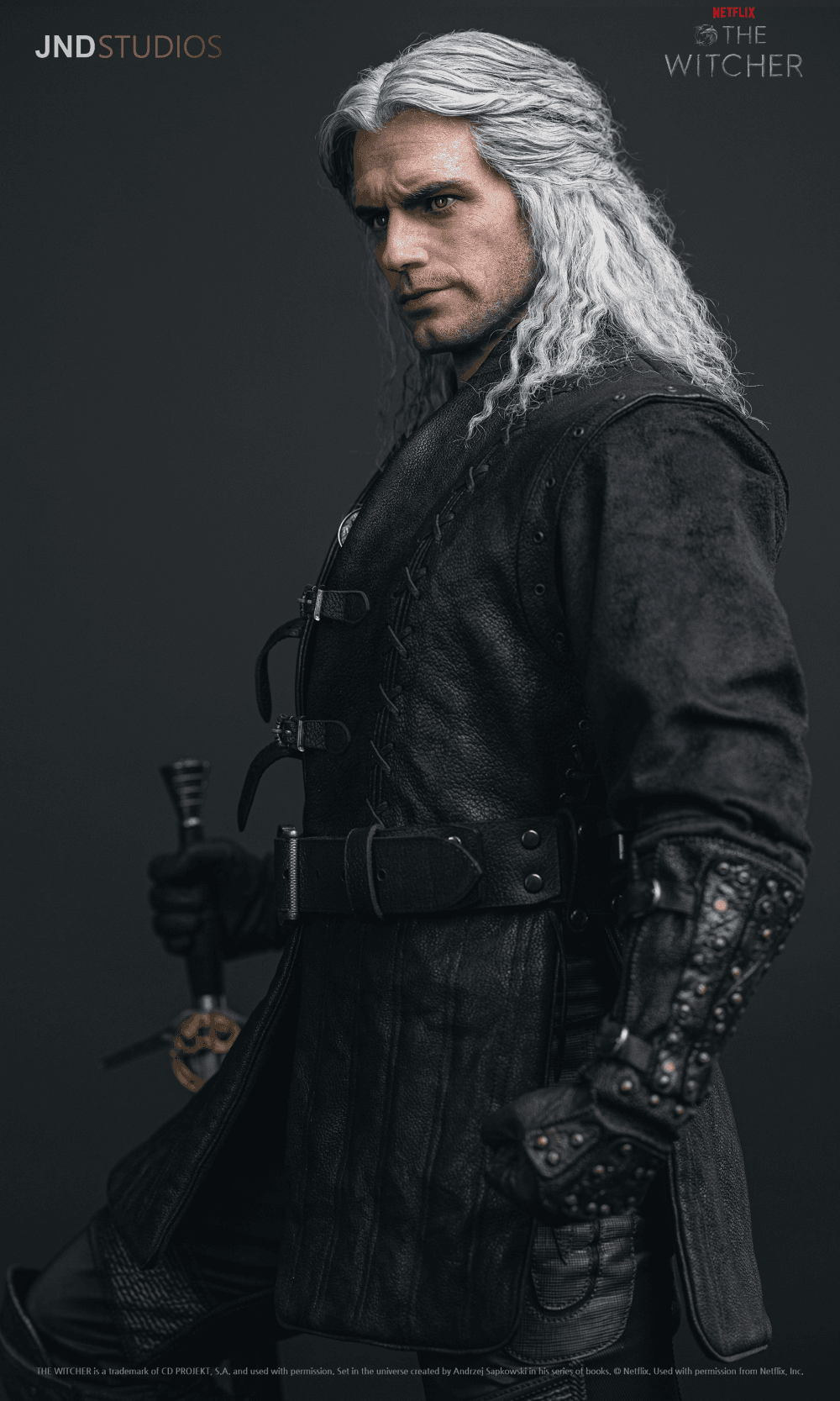 Geralt of Rivia (Netflix) - Vue 12
