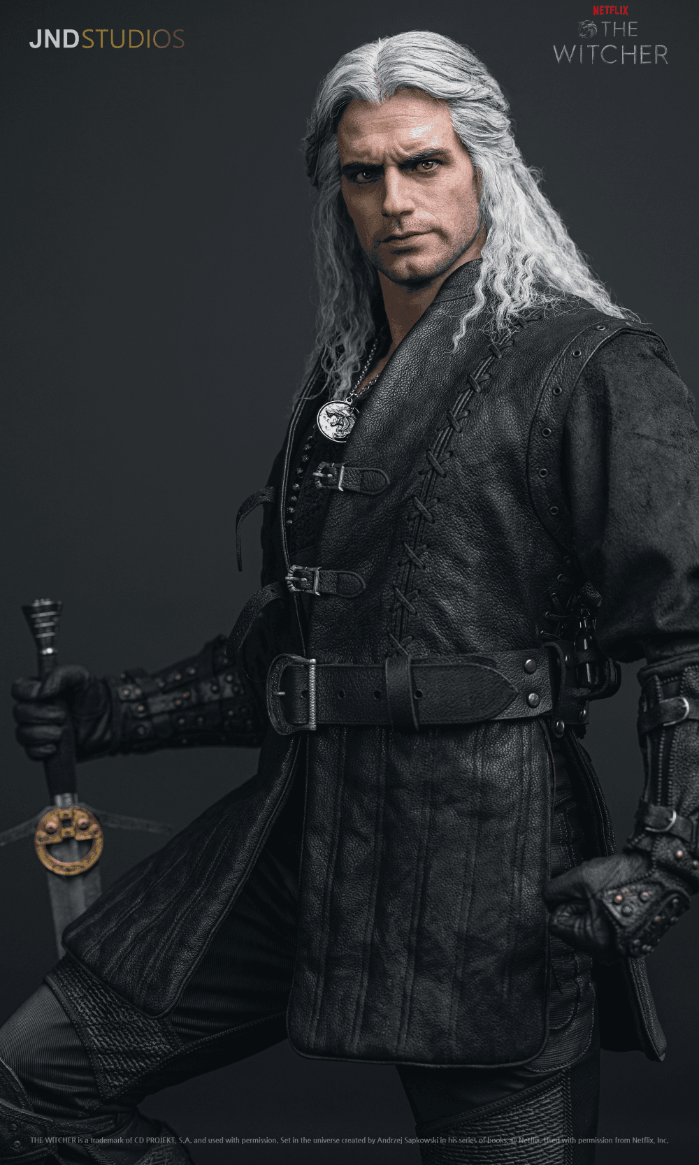 Geralt of Rivia (Netflix) - Vue 13