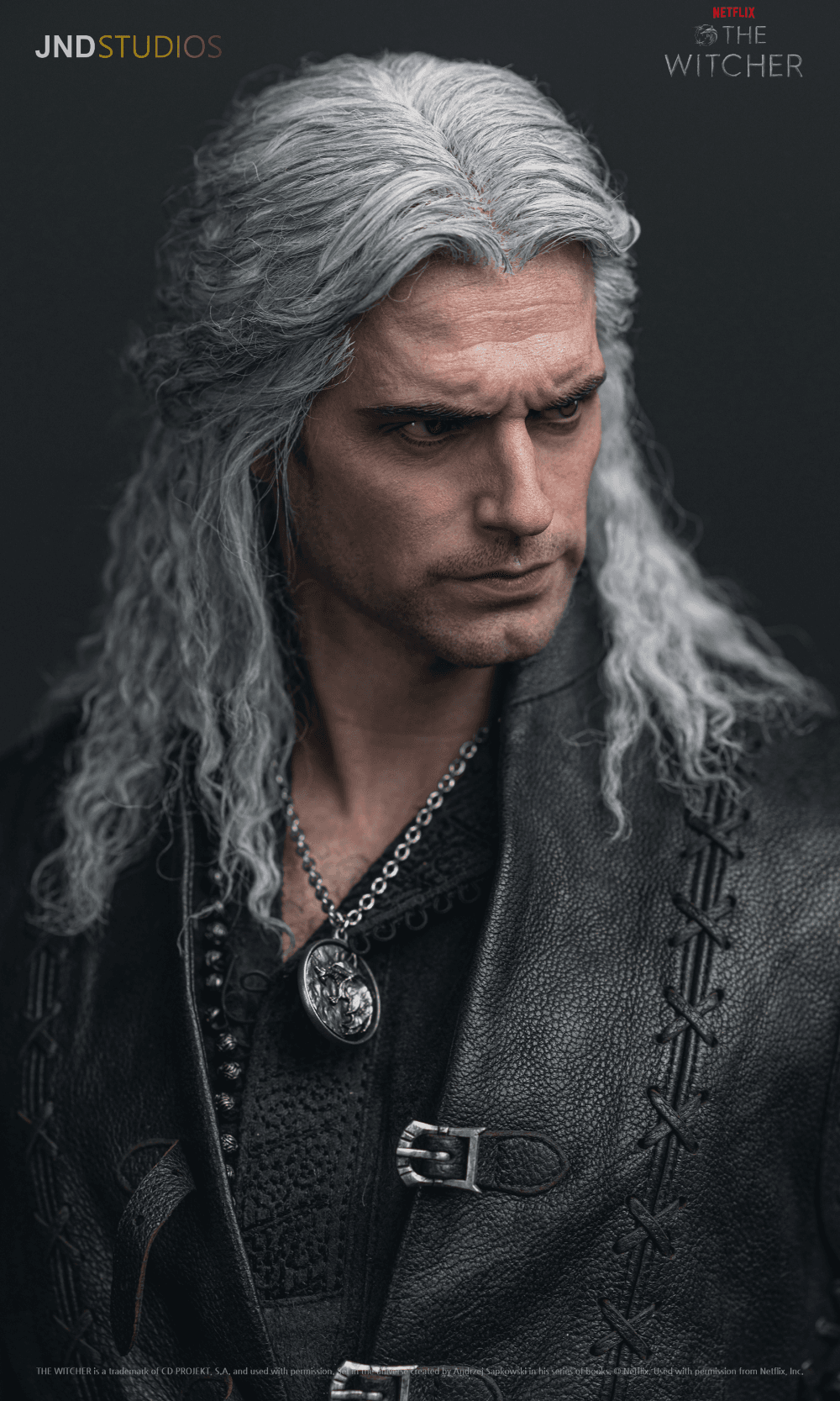 Geralt of Rivia (Netflix) - Vue 14
