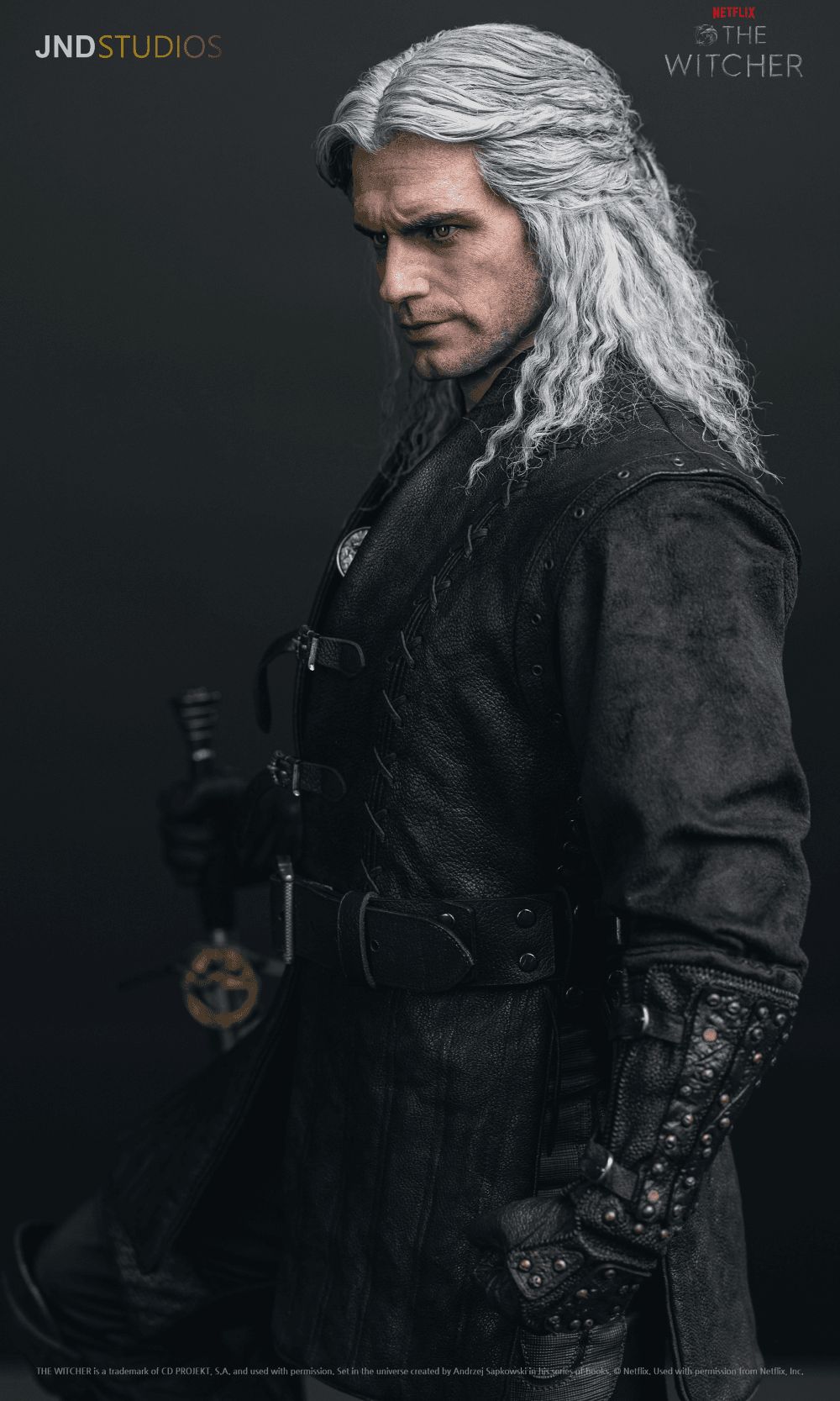 Geralt of Rivia (Netflix) - Vue 15