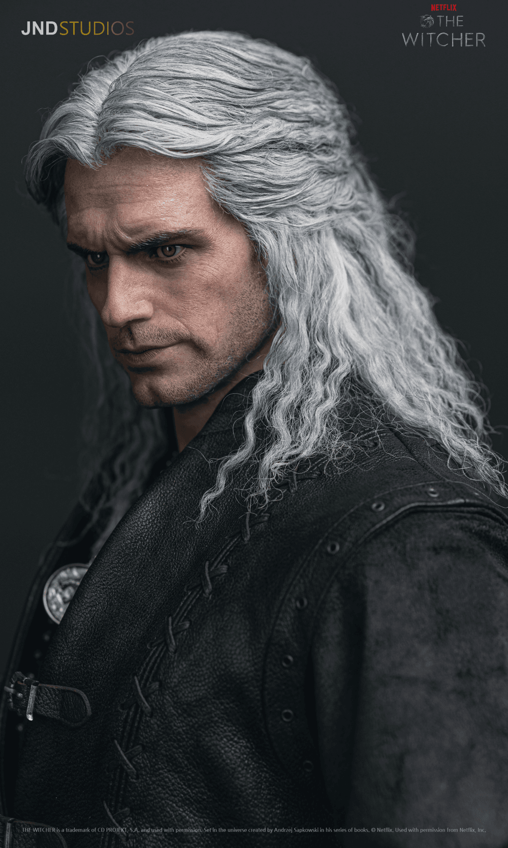 Geralt of Rivia (Netflix) - Vue 16