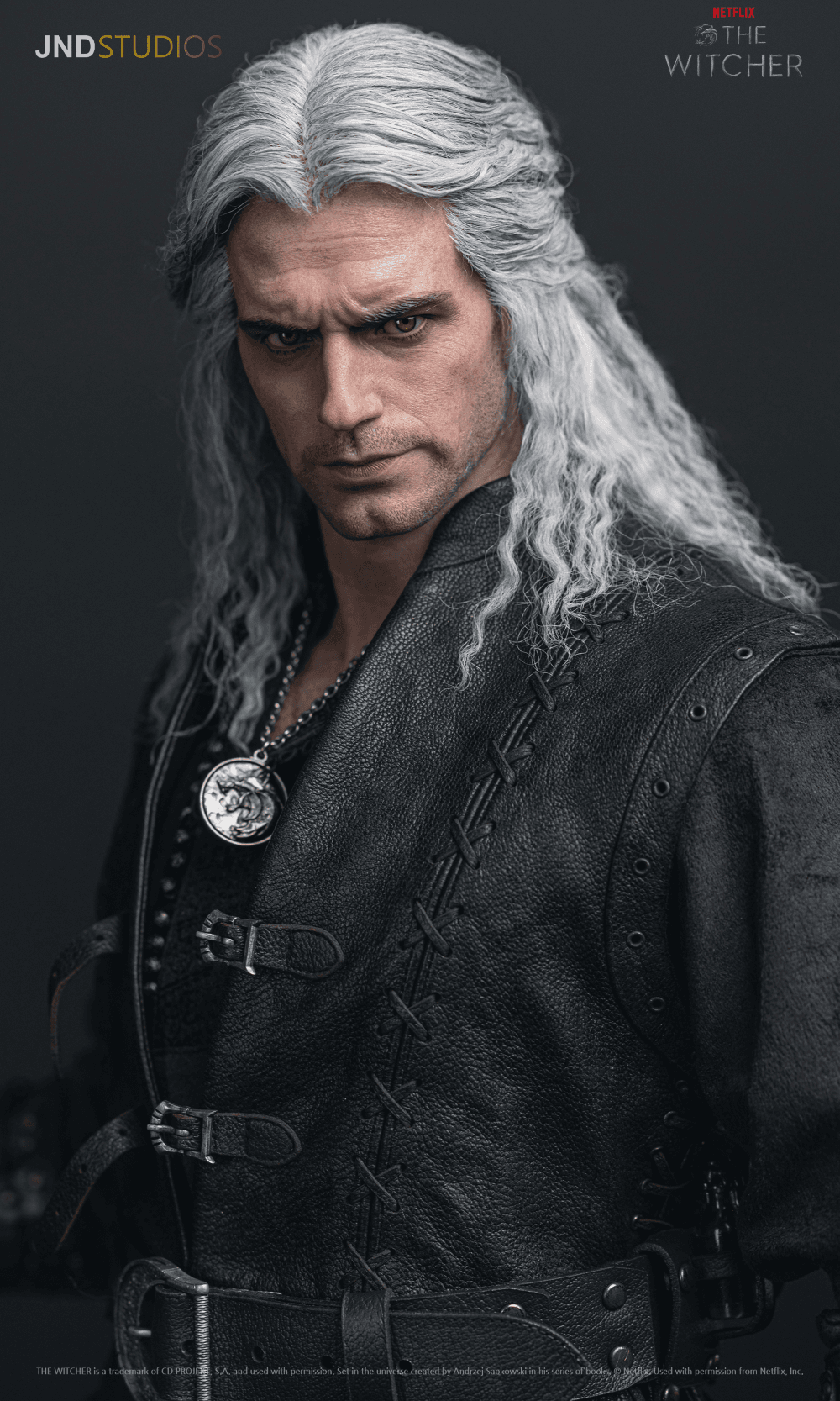 Geralt of Rivia (Netflix) - Vue 18