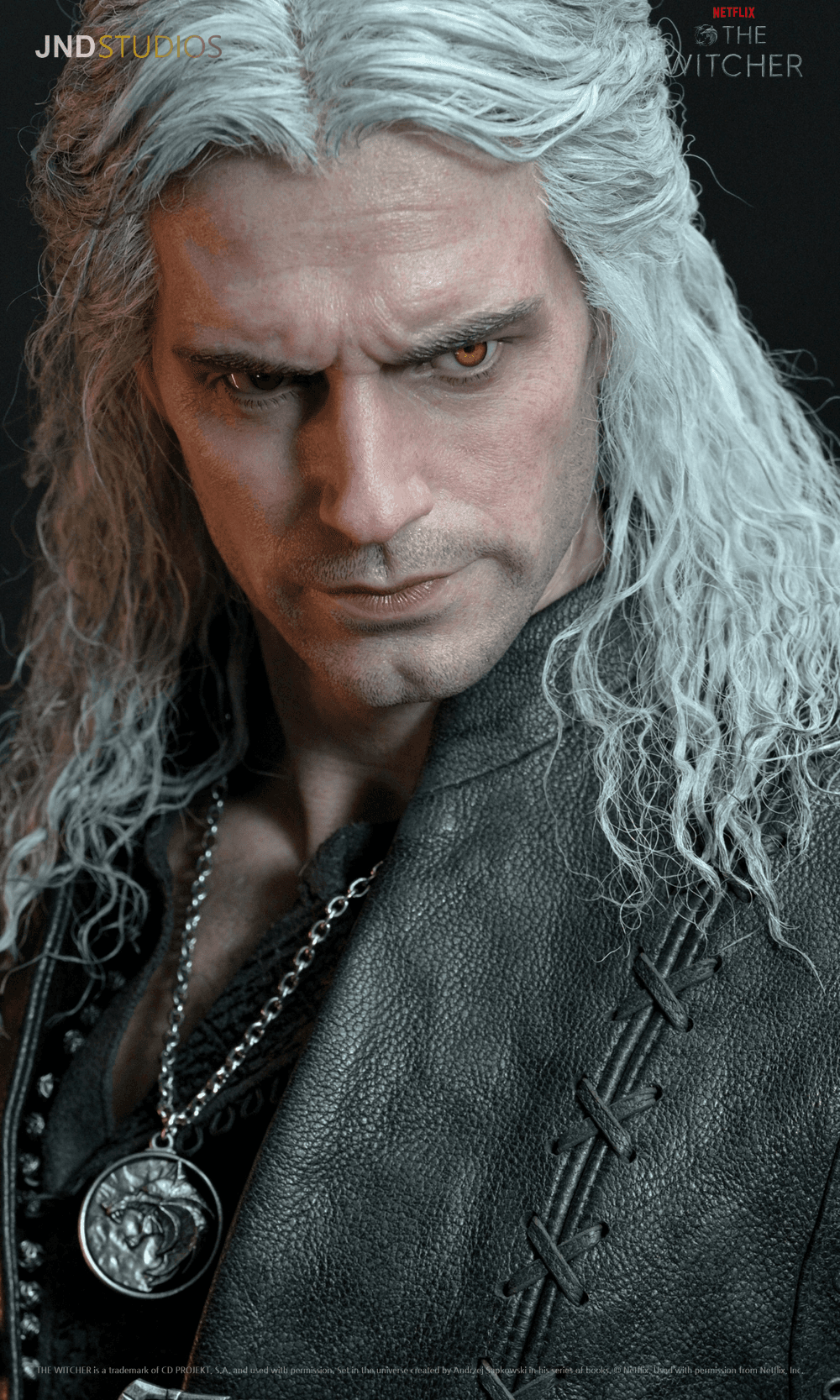 Geralt of Rivia (Netflix) - Vue 19