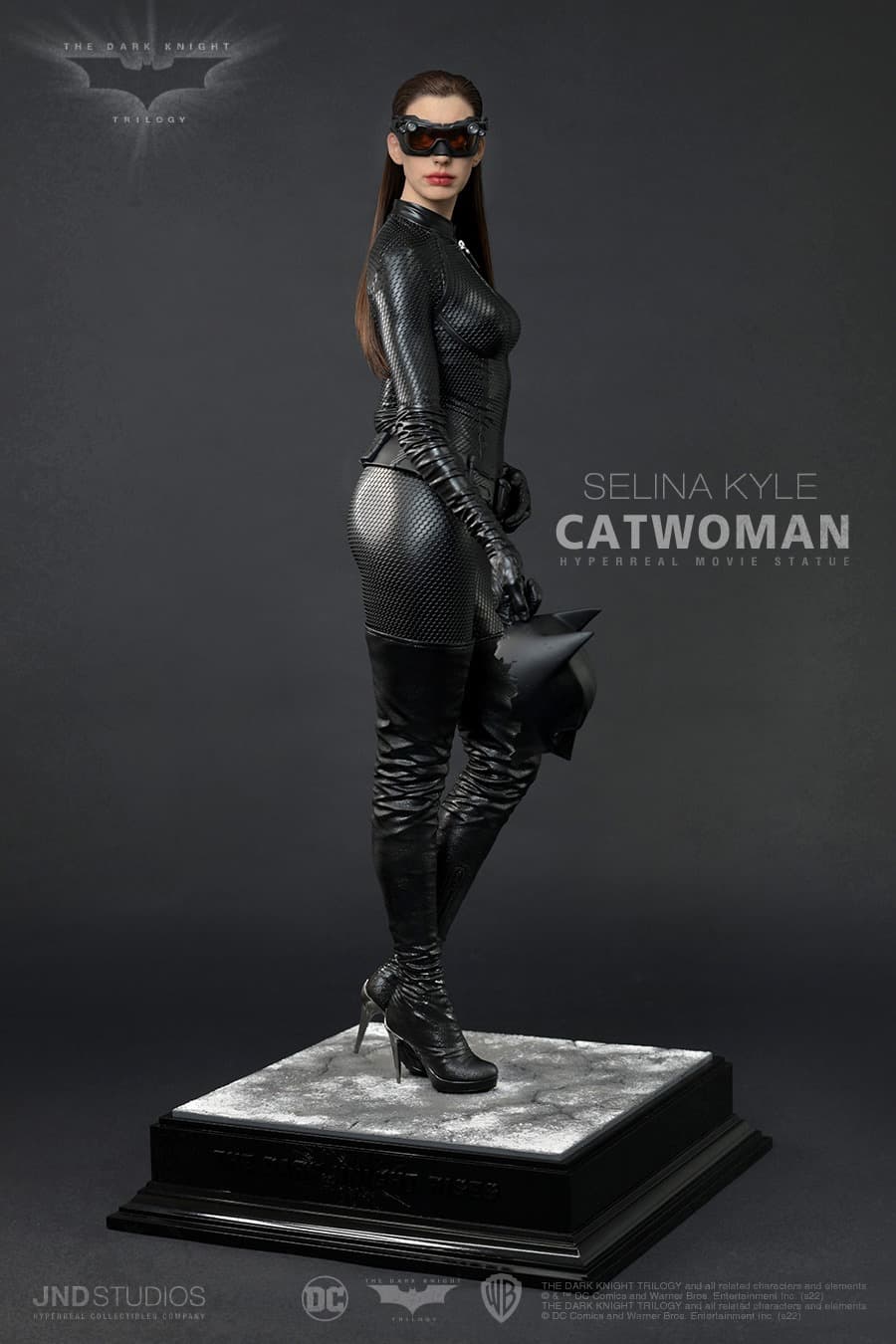 Catawoman (The Dark Knight) - Vue 2