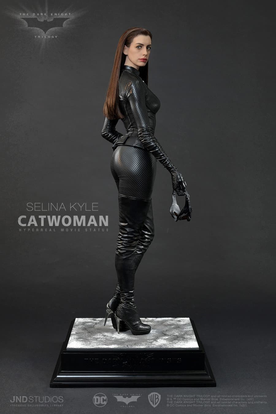 Catawoman (The Dark Knight) - Vue 7