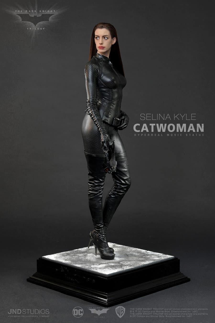 Catawoman (The Dark Knight) - Vue 8