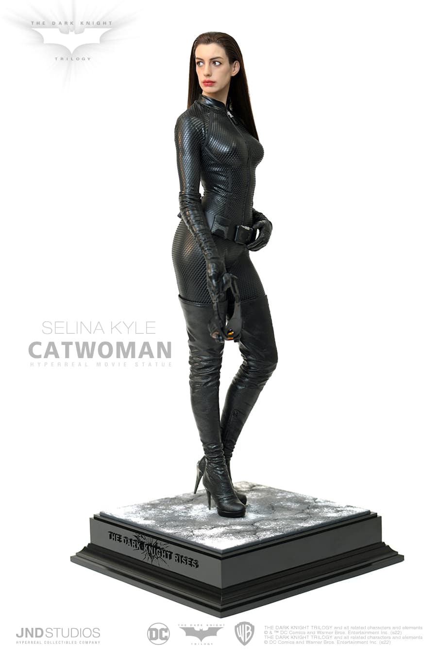Catawoman (The Dark Knight) - Vue 16