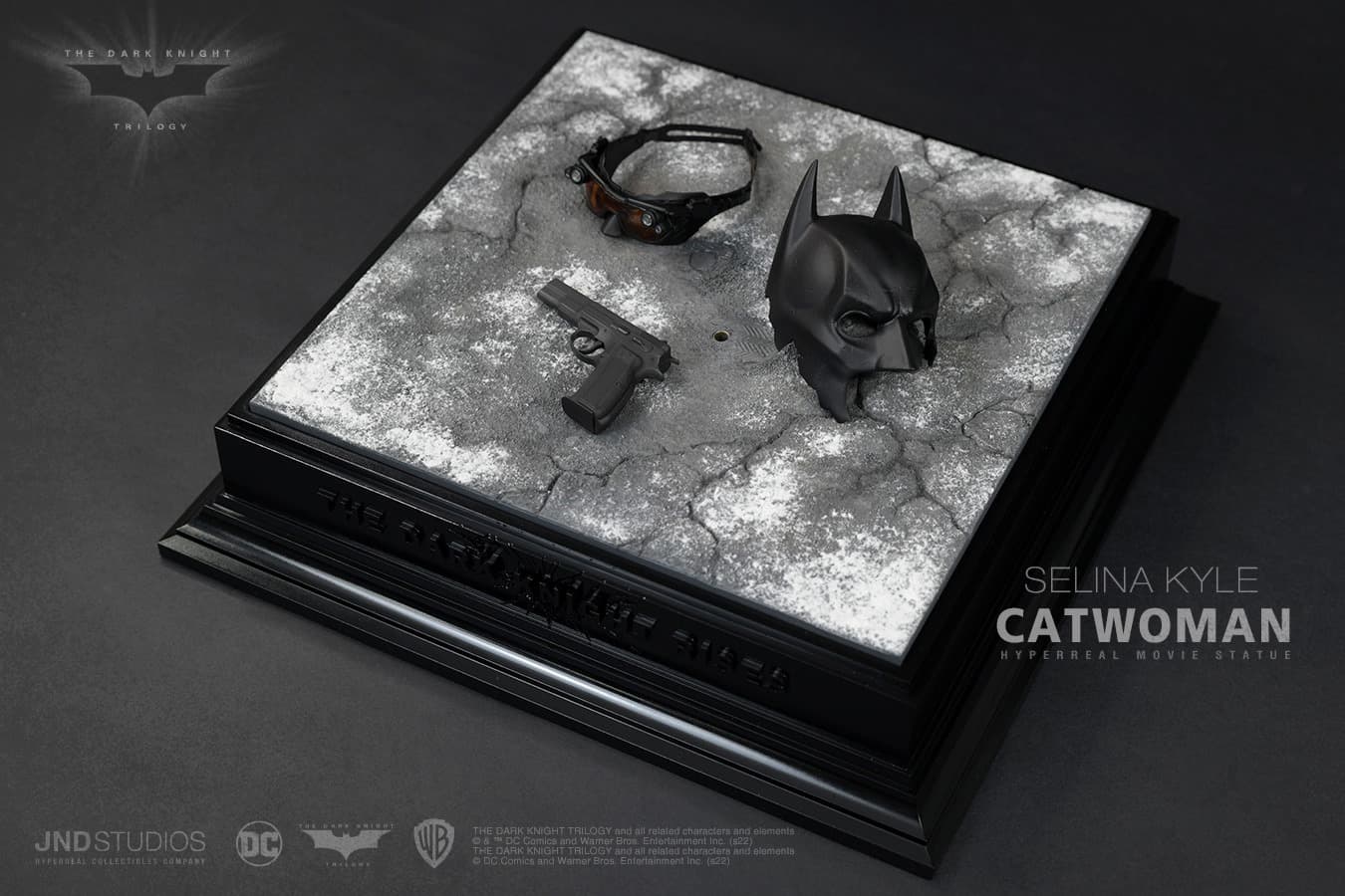 Catawoman (The Dark Knight) - Vue 17