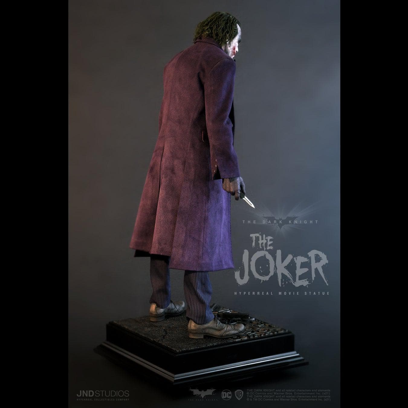 The Joker (The Dark Knight) - Vue 8