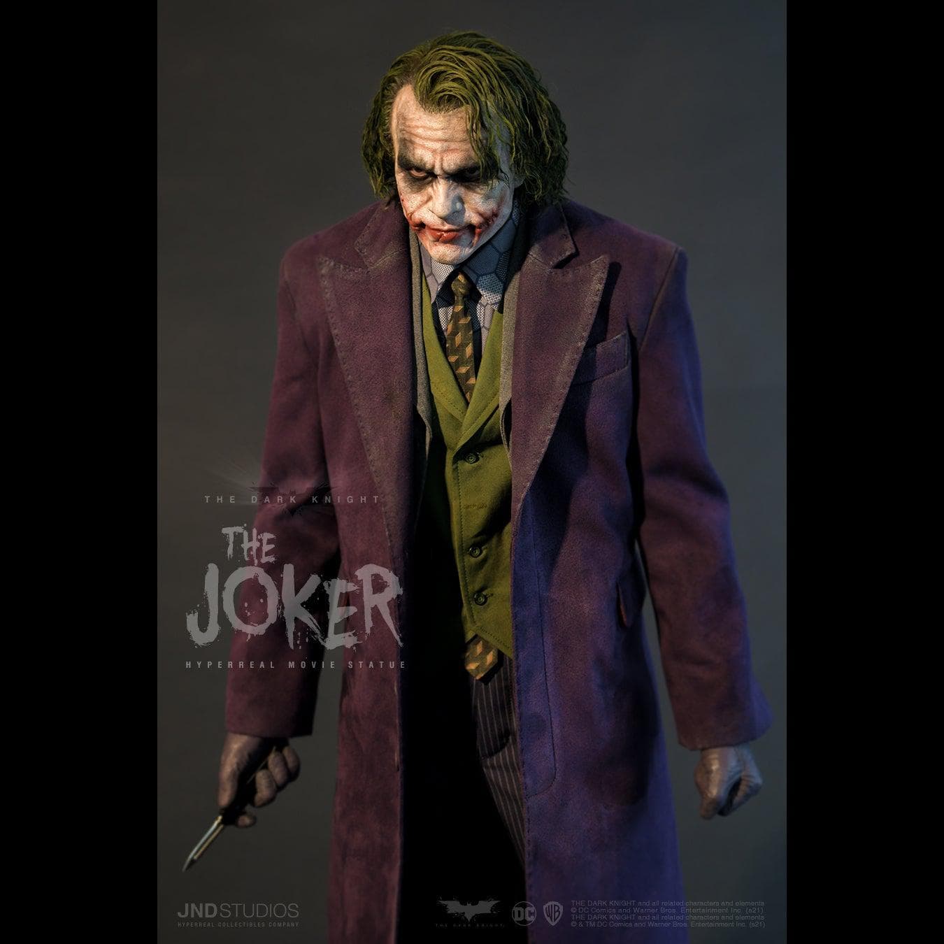 The Joker (The Dark Knight) - Vue 12