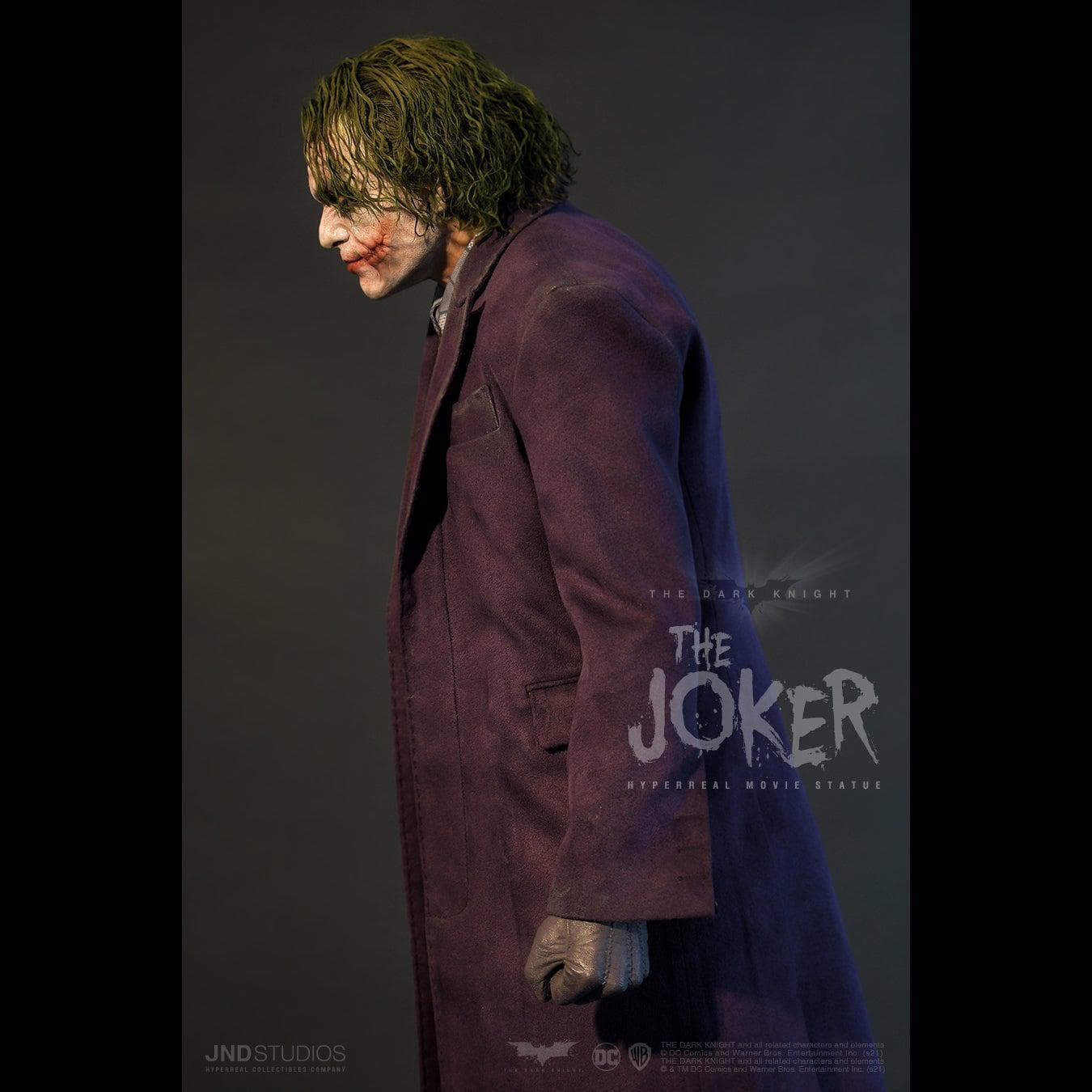 The Joker (The Dark Knight) - Vue 13
