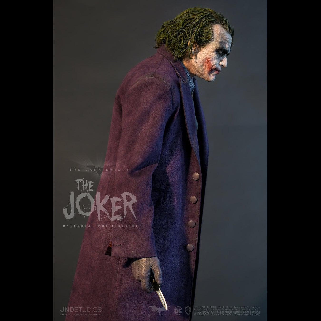 The Joker (The Dark Knight) - Vue 14