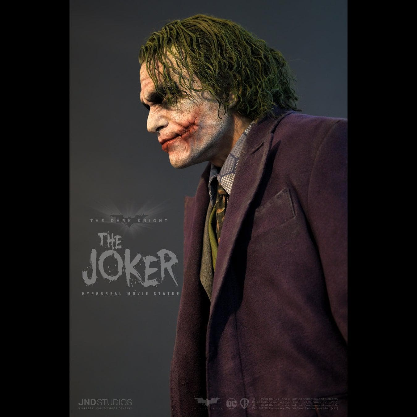 The Joker (The Dark Knight) - Vue 17