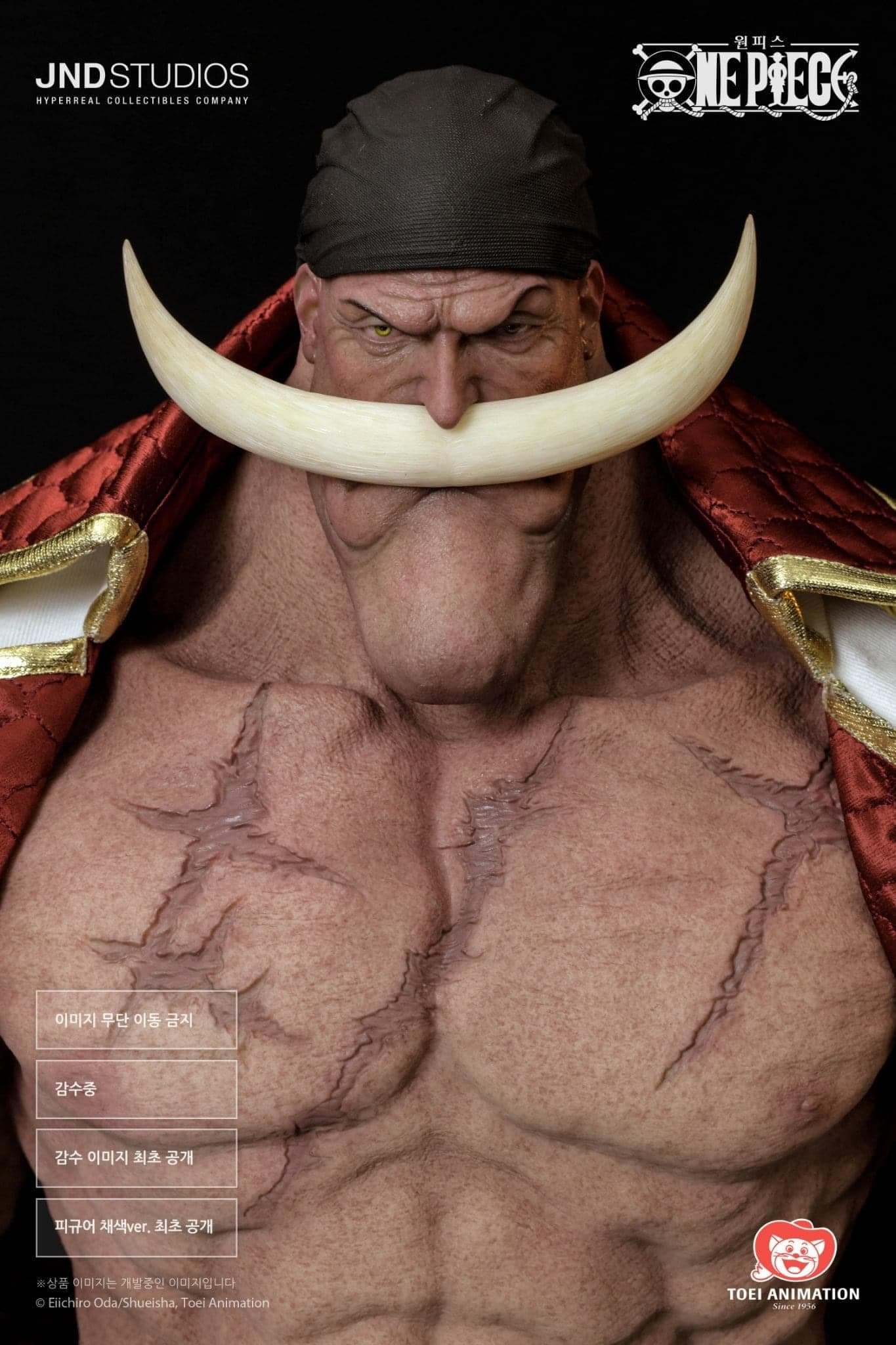 Barbe Blanche/Whitebeard - Vue 2