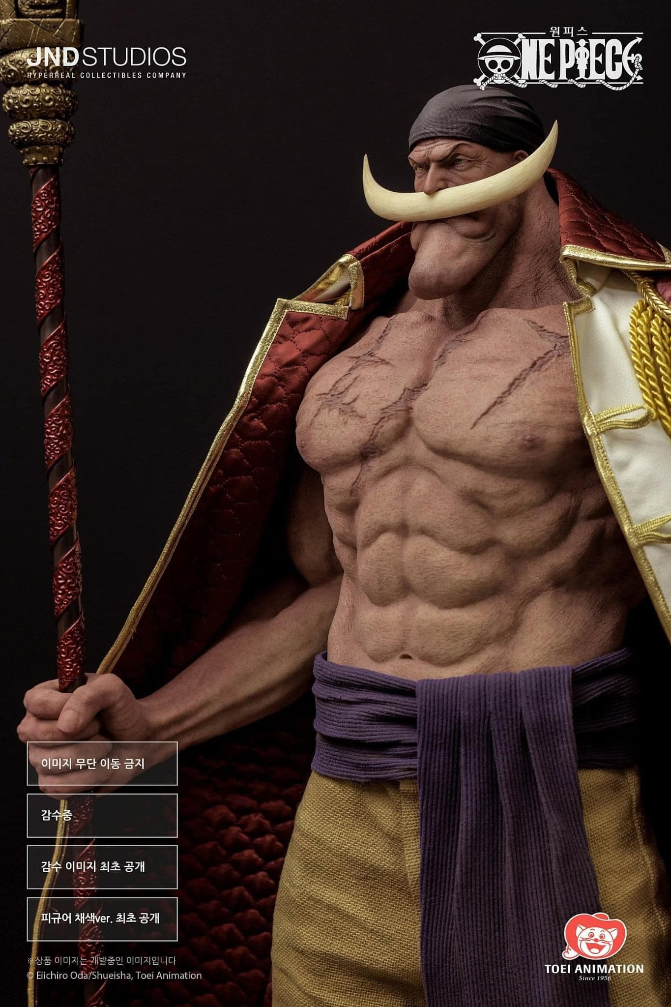 Barbe Blanche/Whitebeard - Vue 4