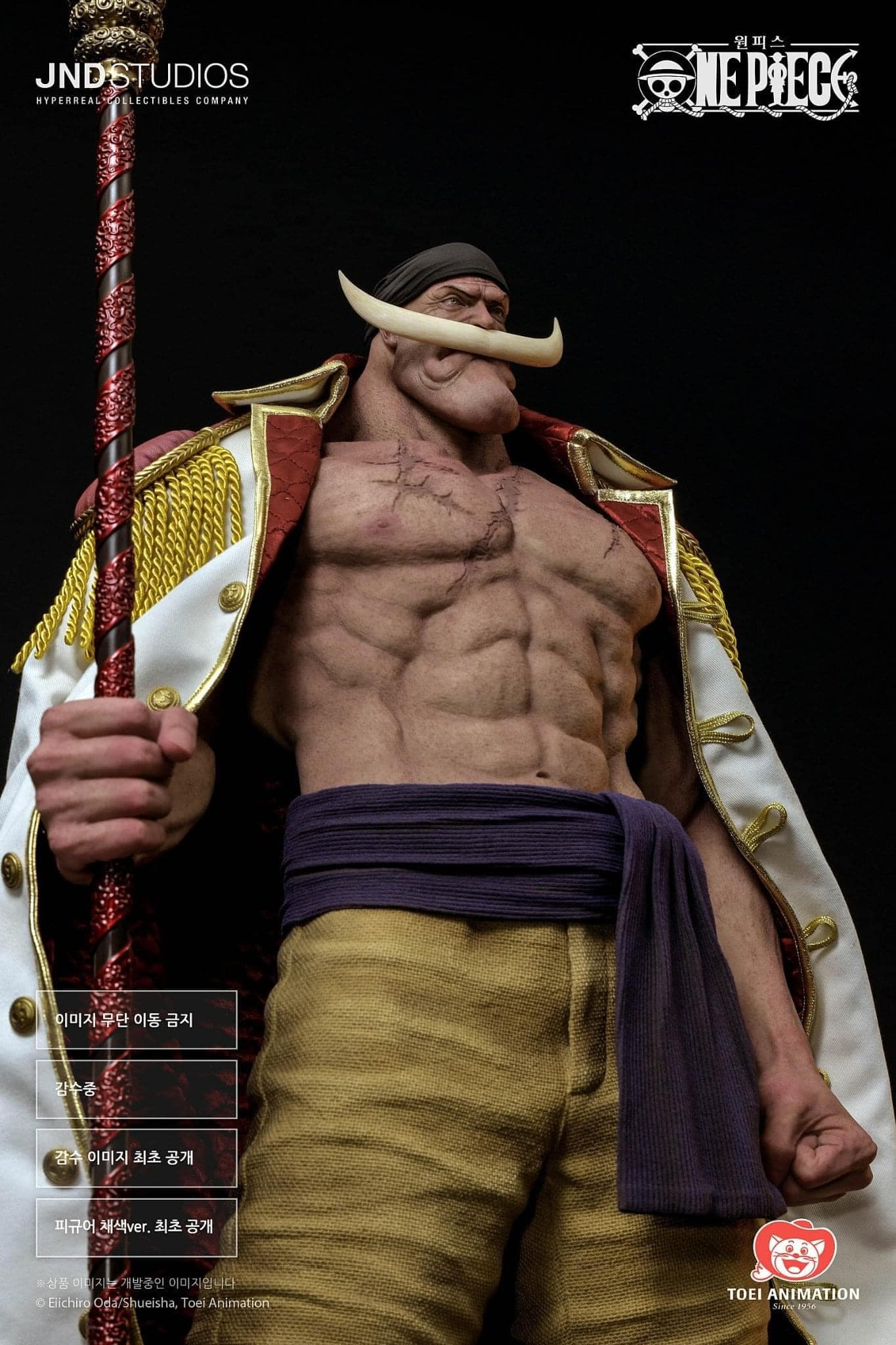 Barbe Blanche/Whitebeard - Vue 14
