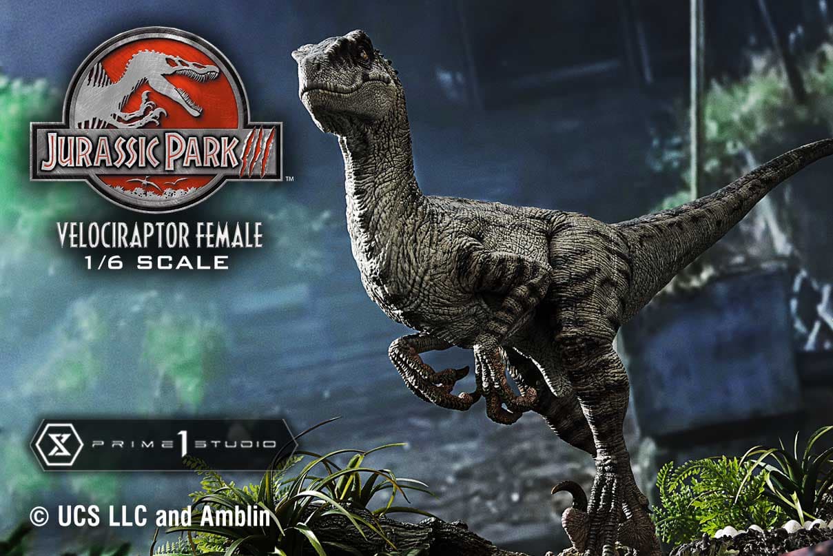 Velociraptor Female - Legacy Museum Collection (regular version)