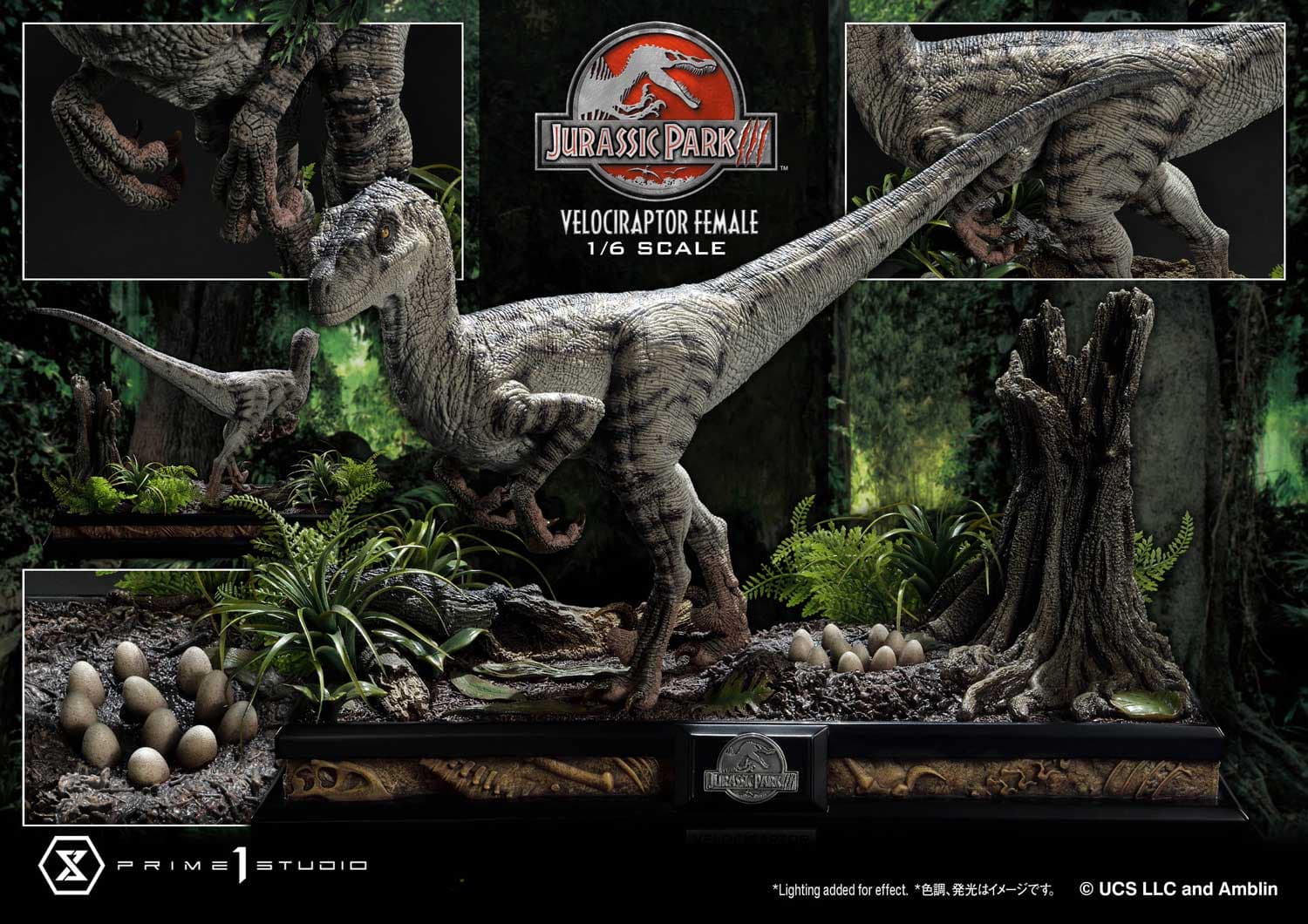 Velociraptor Female - Legacy Museum Collection (regular version) - Vue 4